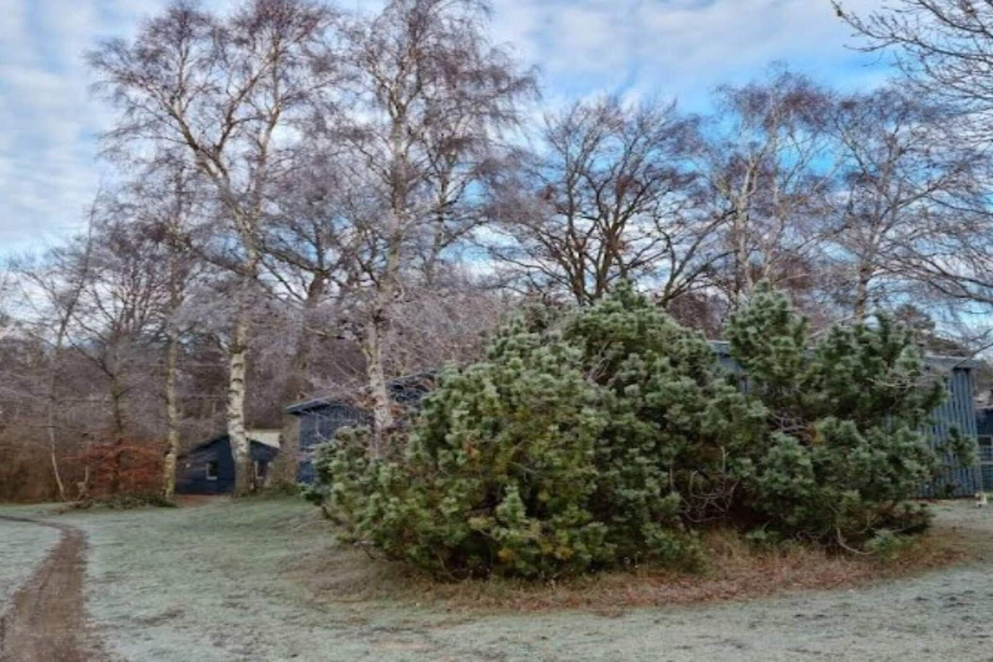 4 persoons vakantie huis in Hals-By Traum-Buitenlucht