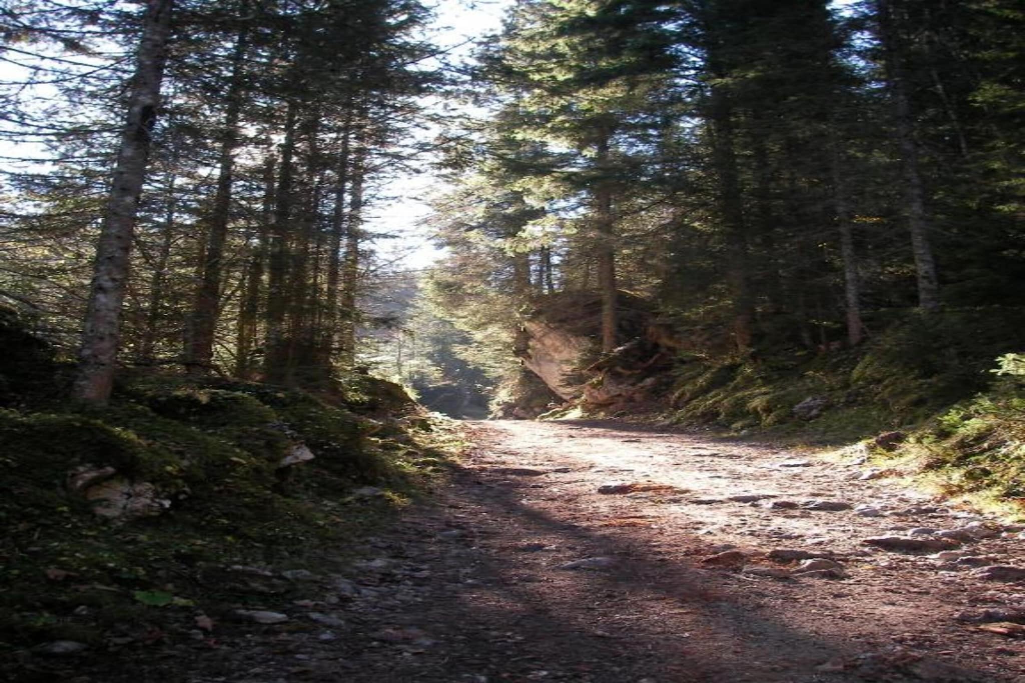 Ferienhaus Maria-Gebieden zomer 20km