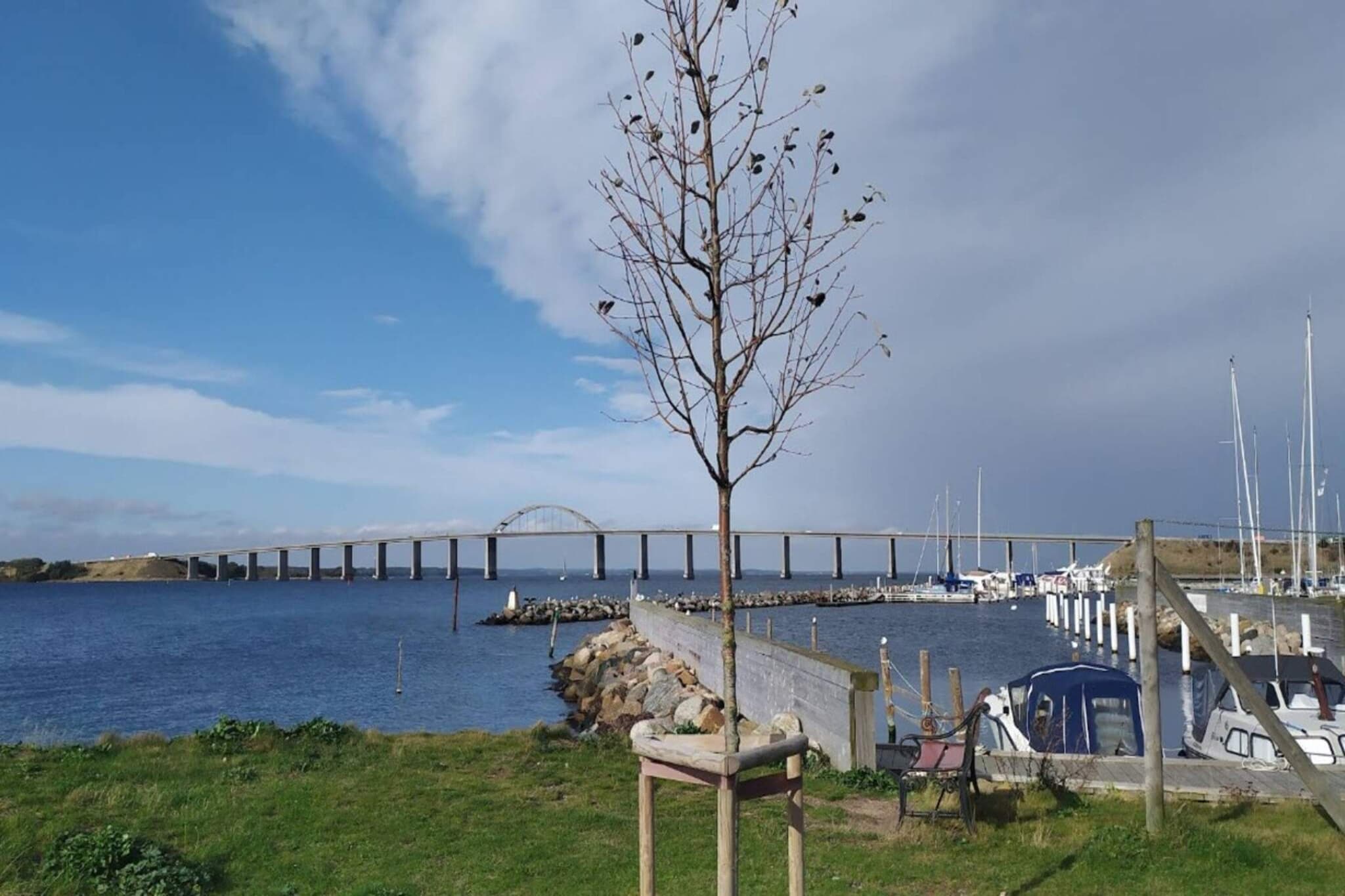 Maison de vacances pour 4 a Rudkøbing-By Traum-Vue sur l'eau