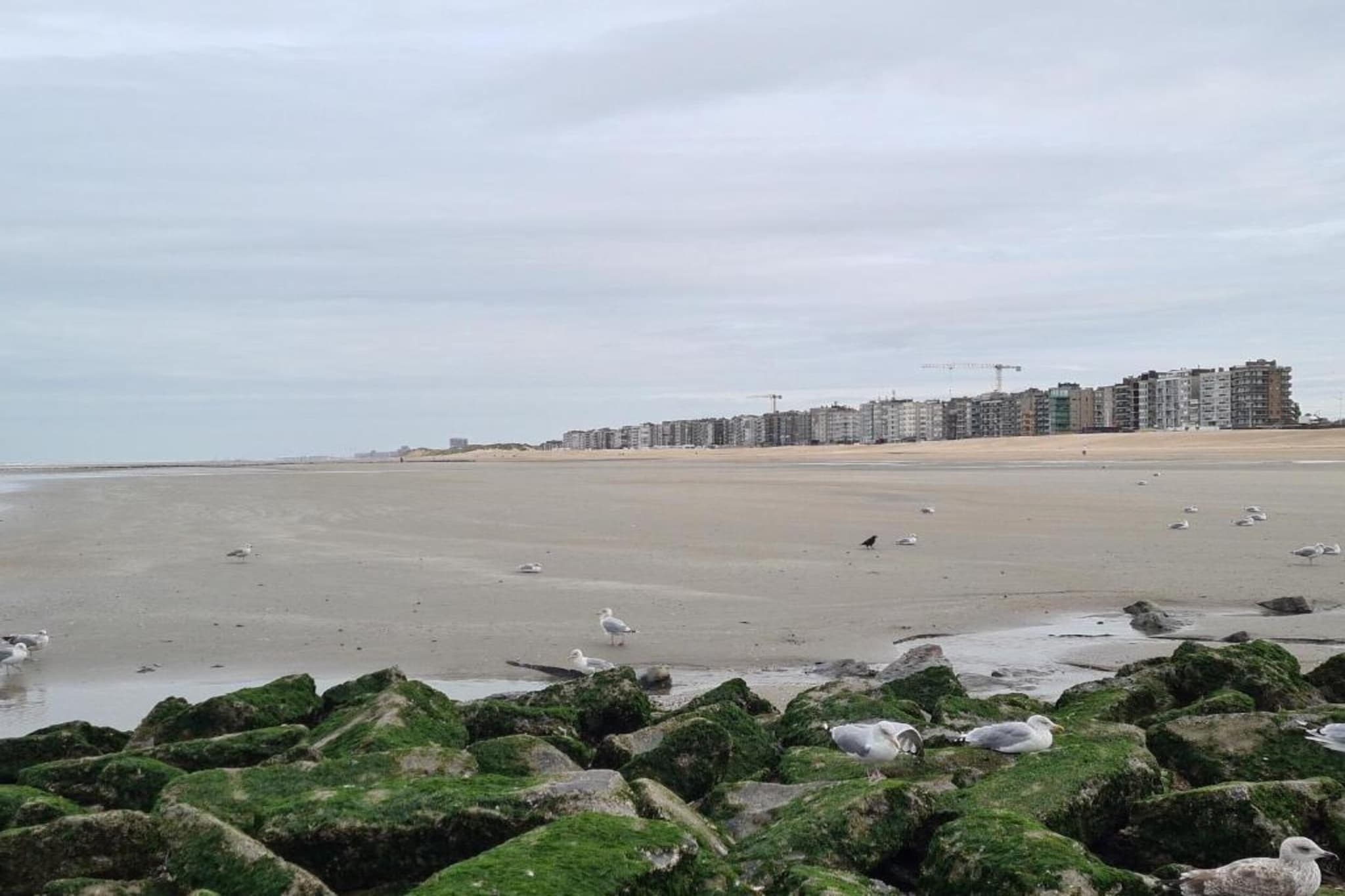 Pablo I 302 G02-Zones d'été à 1 km