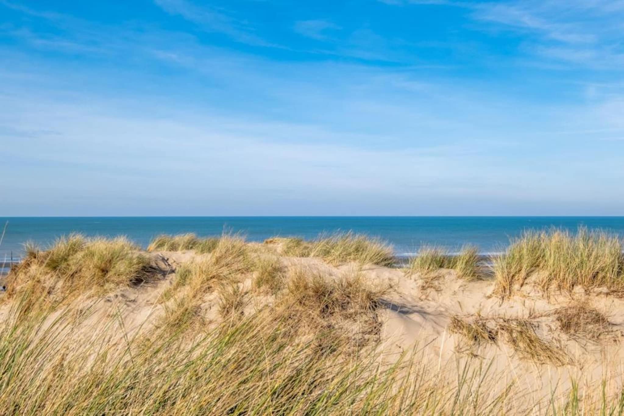 Dante 301-Gebiete Sommer 1 km