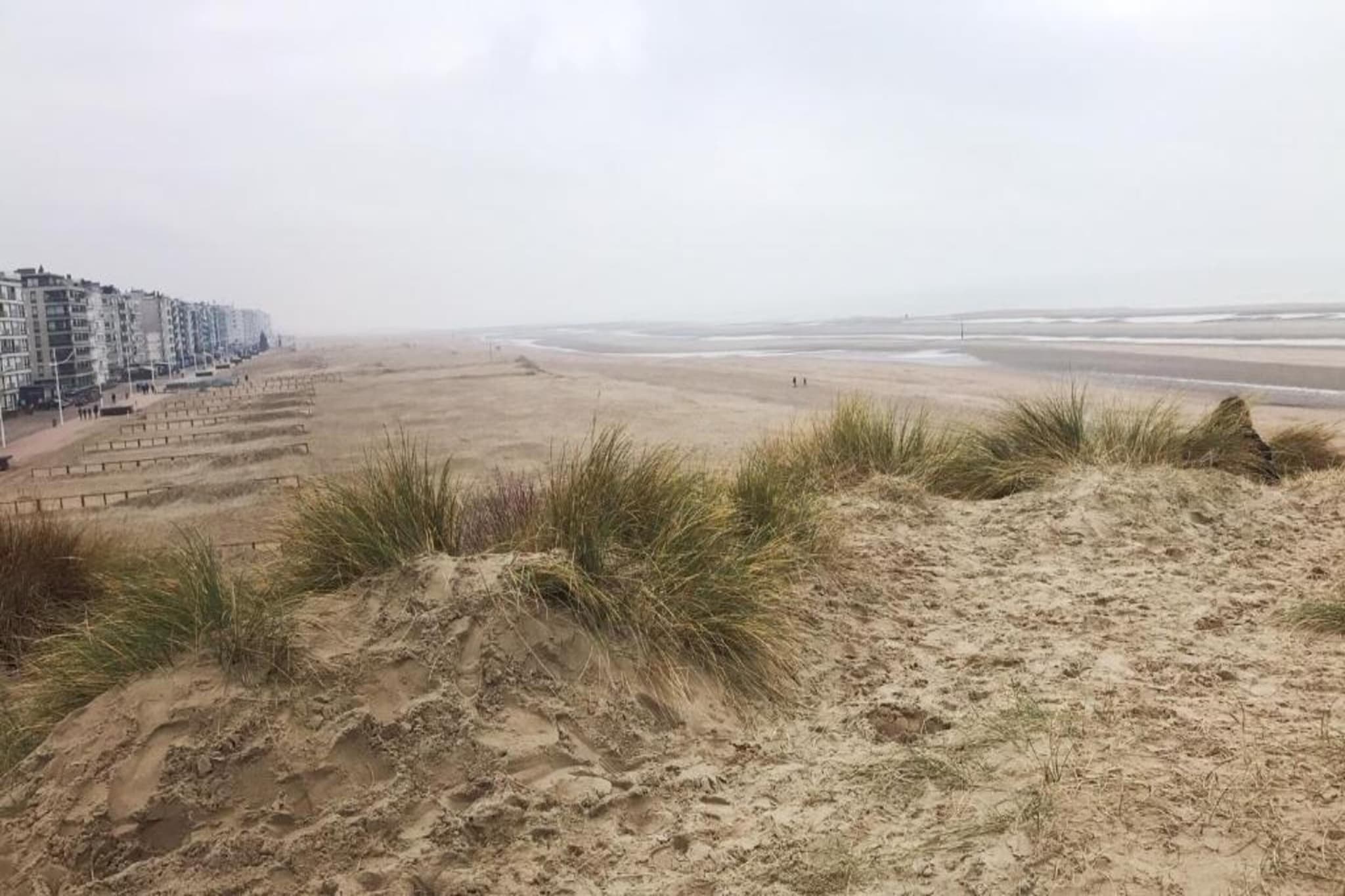 Magellan GV01-Gebieden zomer 1km