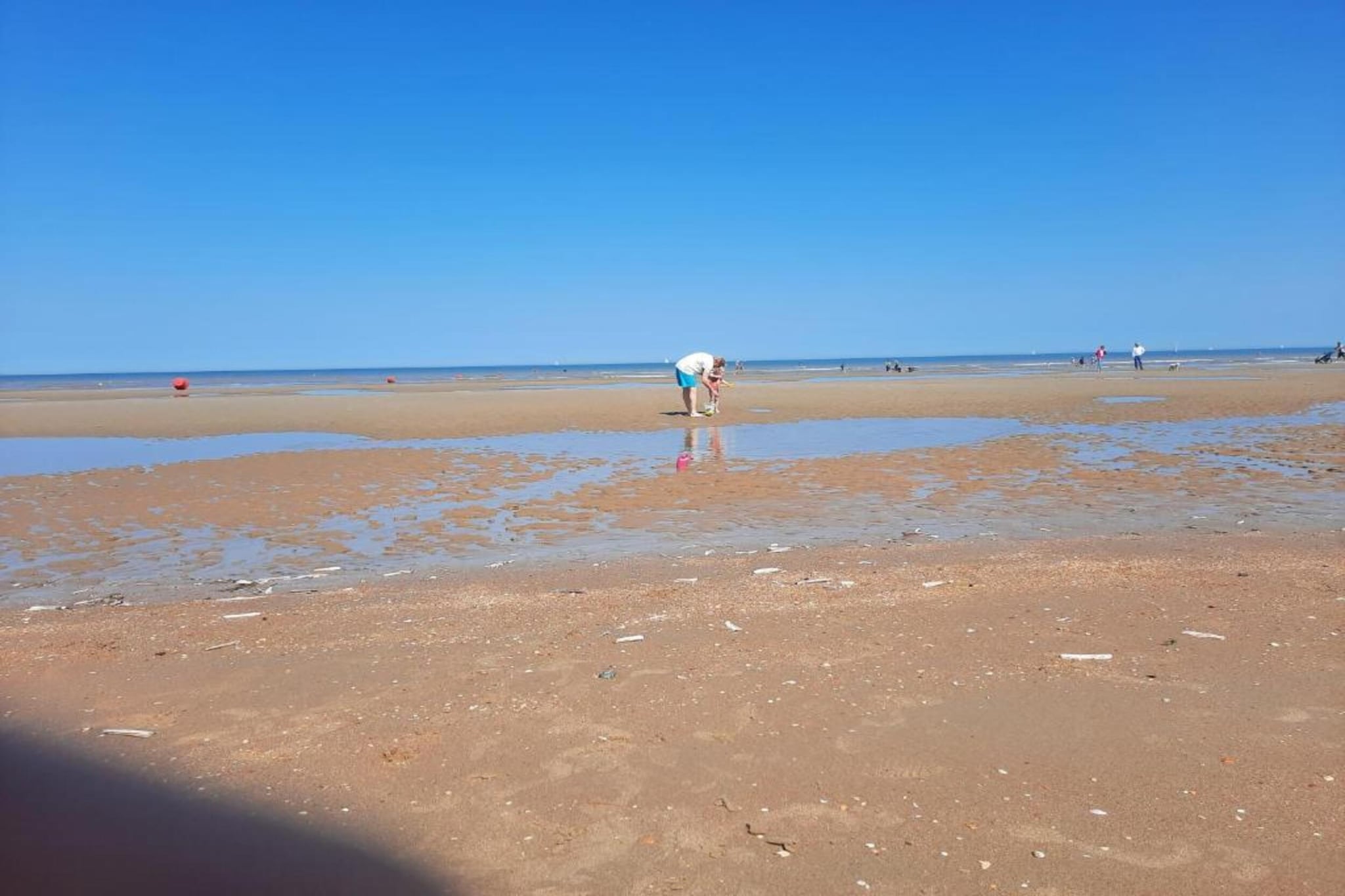 Magellan GV01-Gebieden zomer 1km