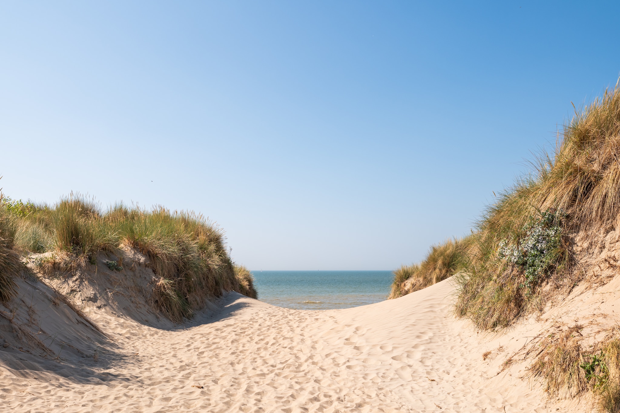 Zeegerucht 201P-Gebiete Sommer 5 km