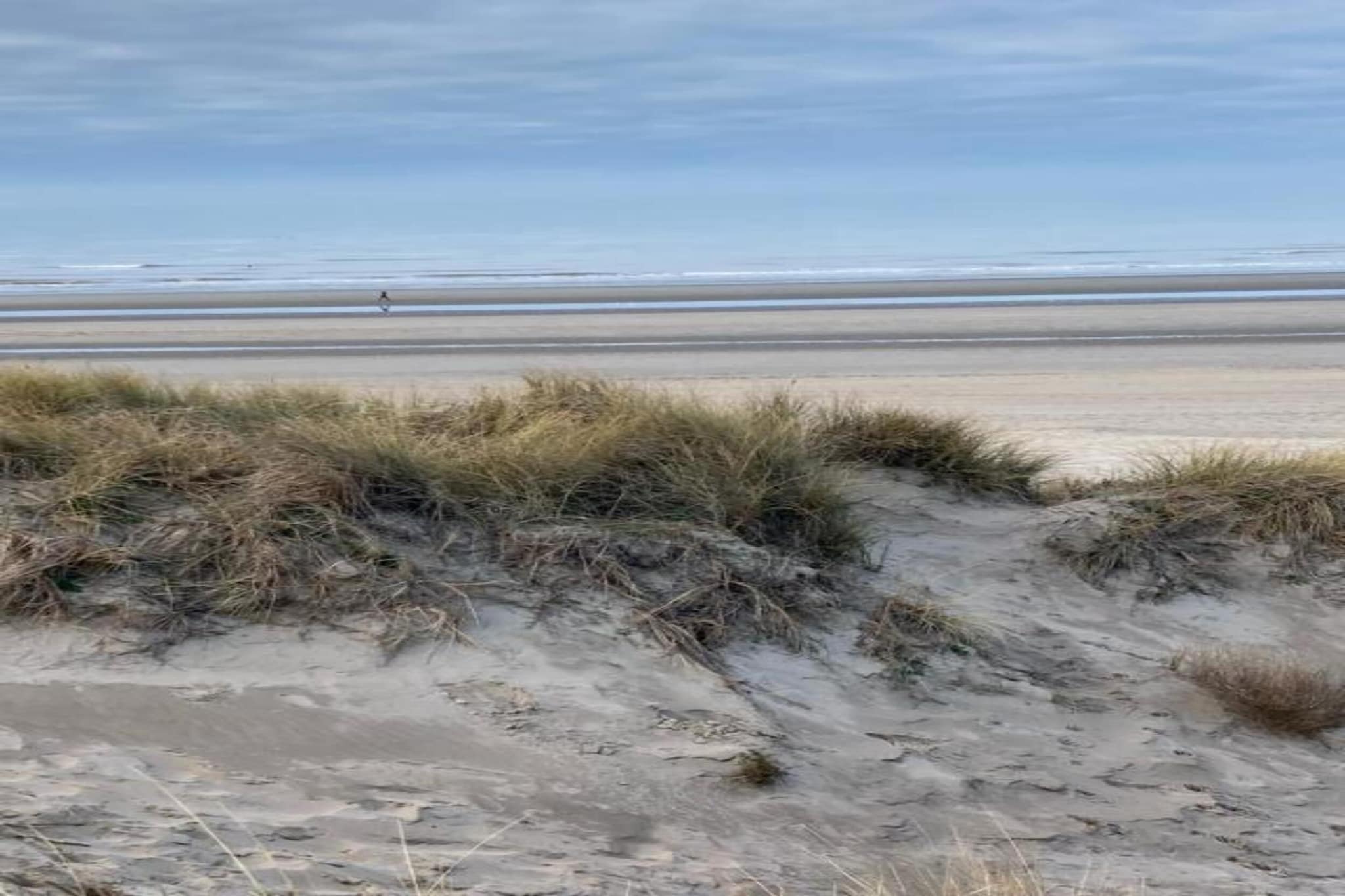 Les Vagues 201G20-Areas summer 1km