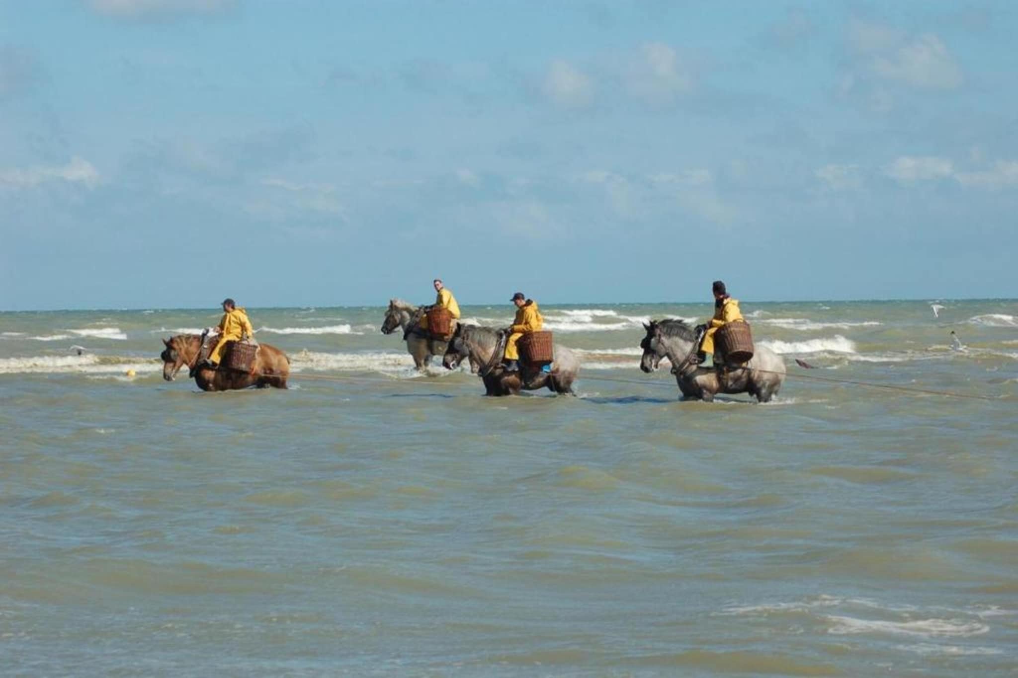Atlantic B101-Gebiete Sommer 1 km