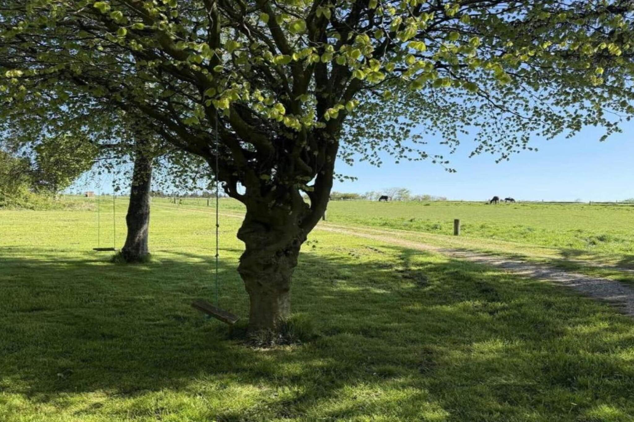 Maison de vacances pour 6 a Bedsted Thy-By Traum - Non tagué