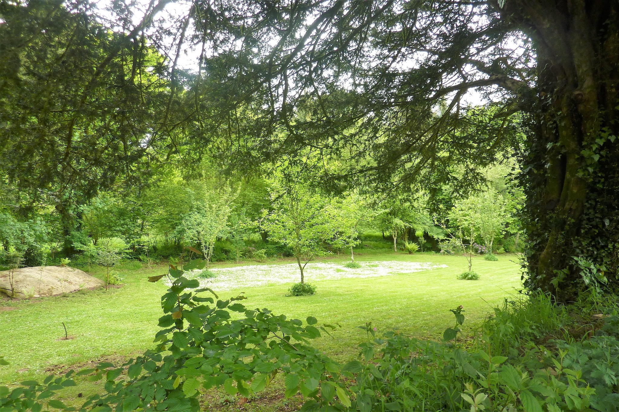 Garden Summer