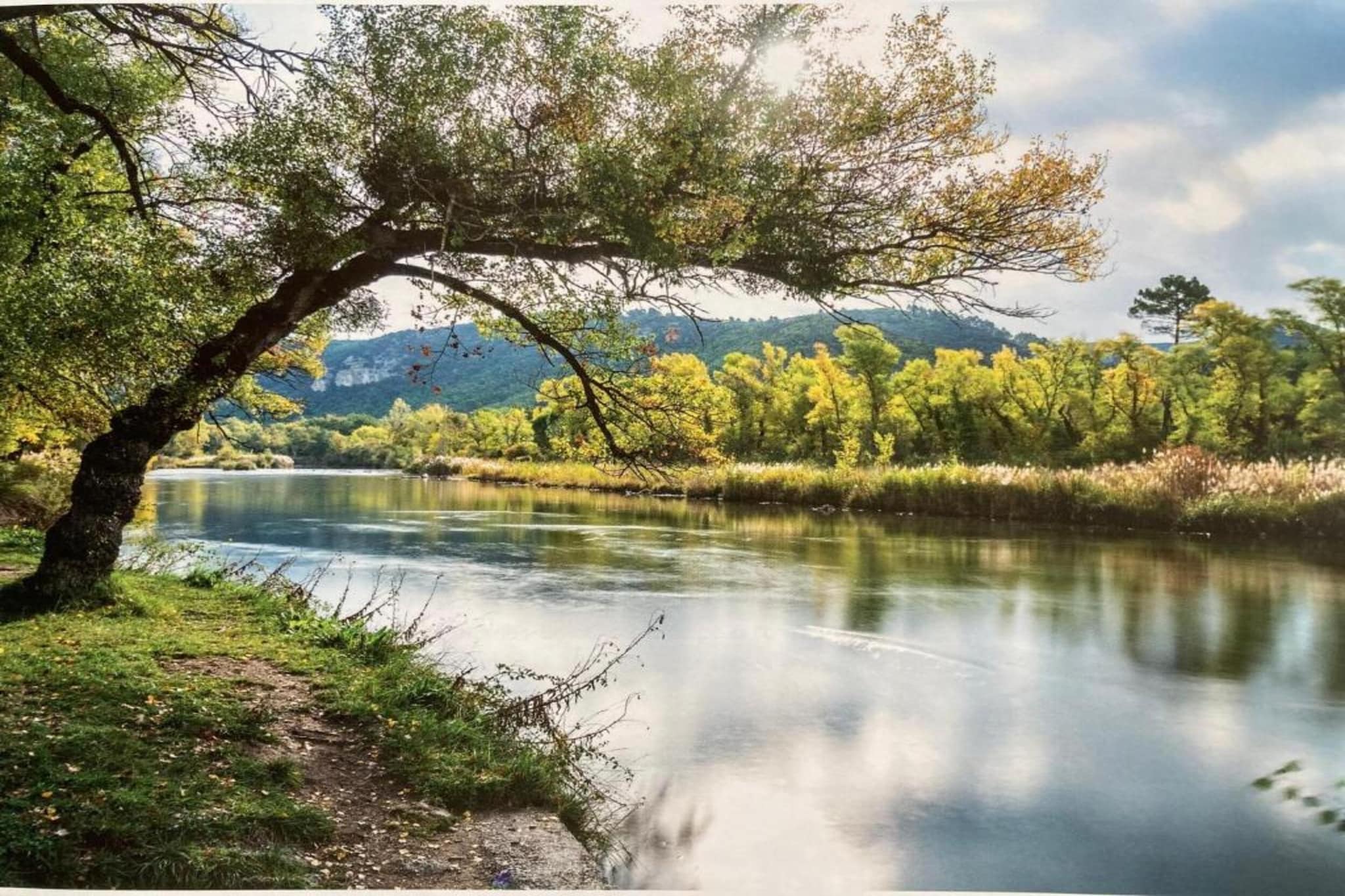	 Résidence La Licorne de Haute-Provence 4-Zones d'été à 5 km