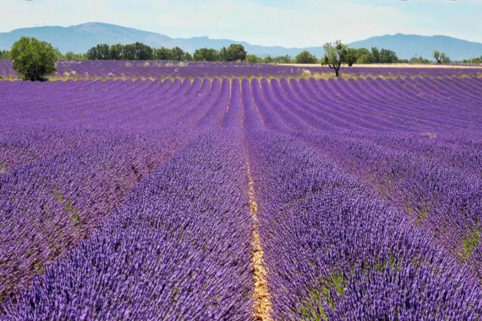 	 Résidence La Licorne de Haute-Provence 5-Gebieden zomer 5km
