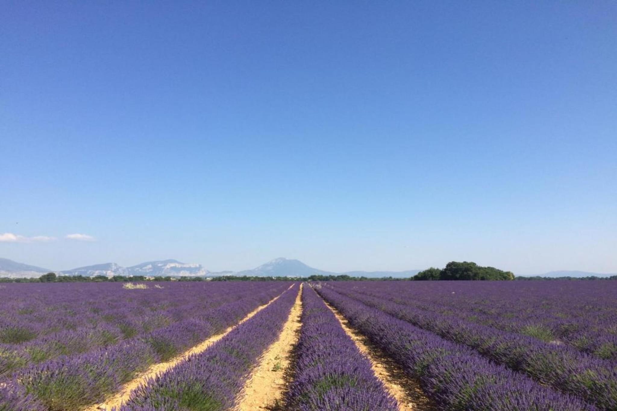 	 Résidence La Licorne de Haute-Provence 5-Gebieden zomer 5km