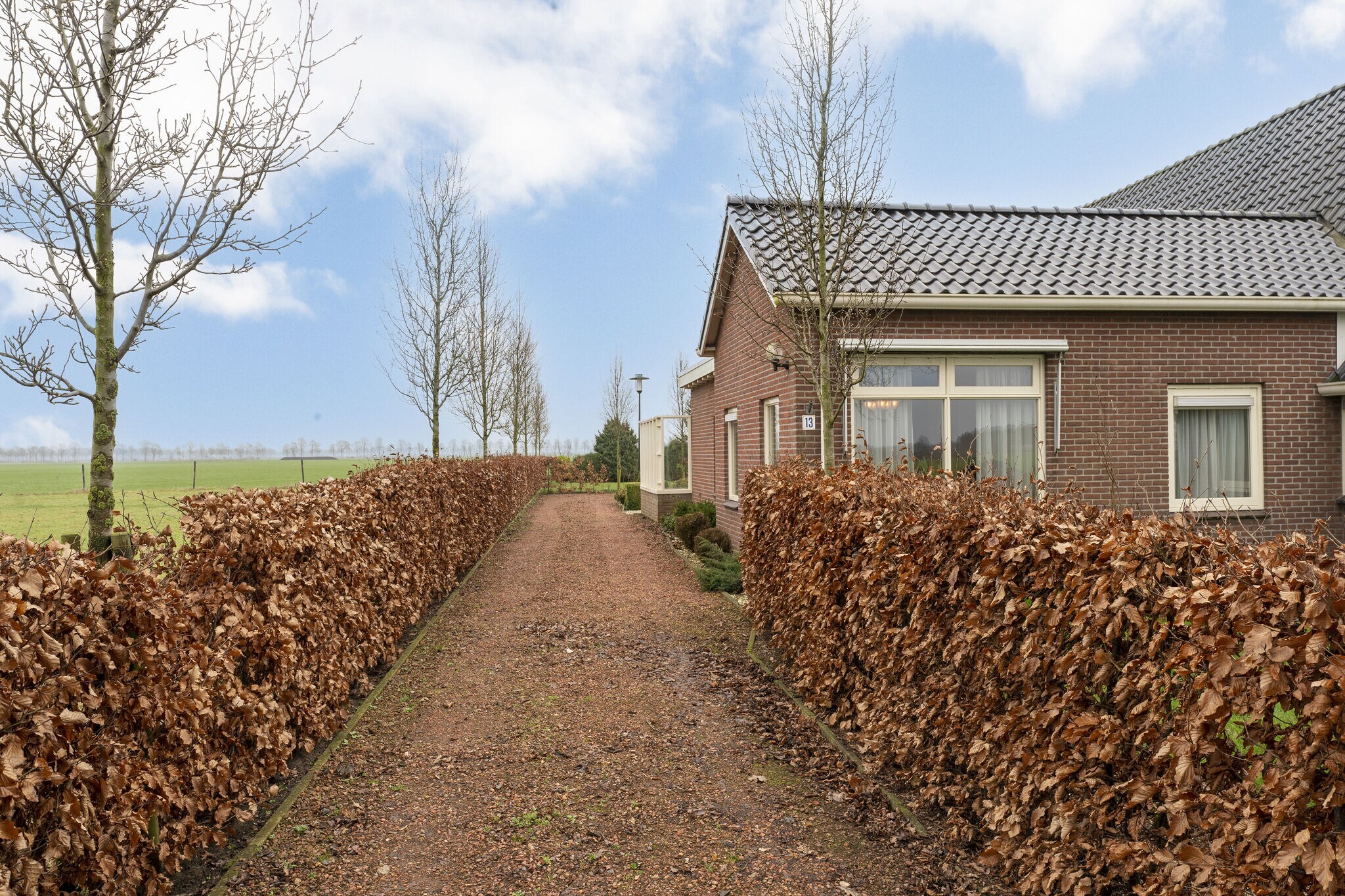 Maison confortable avec grand jardin dans la Drenthe boisée
