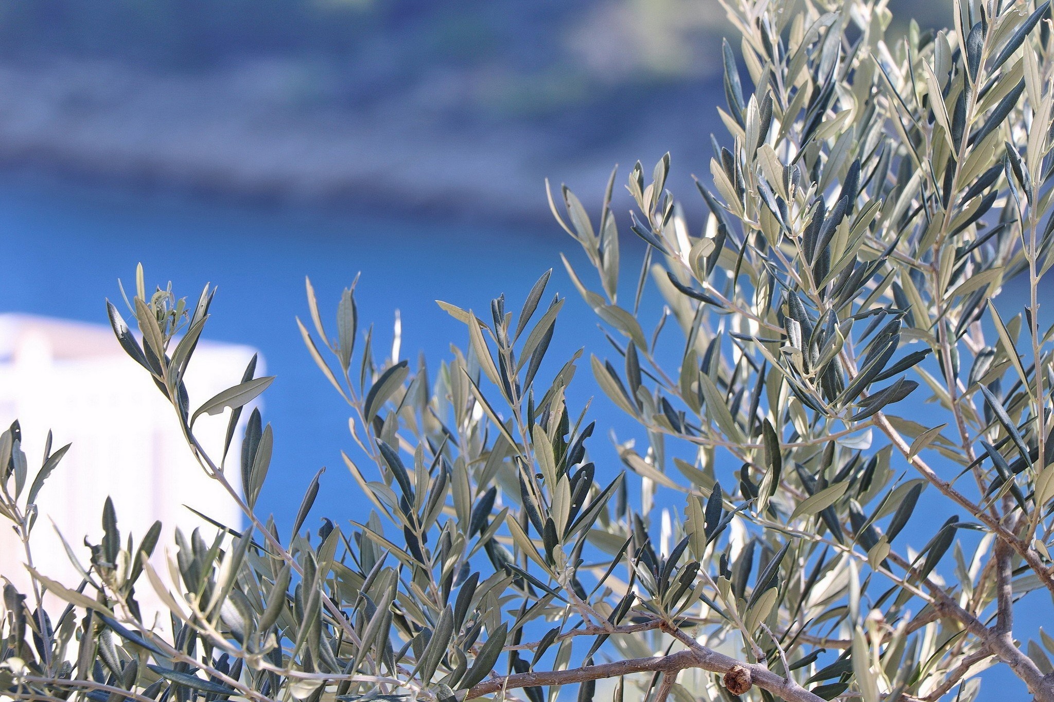 Peaceful Holiday House Senija - Four bedroom Holiday Home with Terrace and Sea View-Ambiente