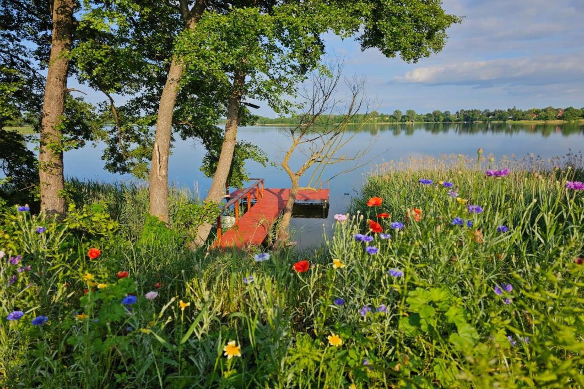 Dom nad Jeziorem Głuszyńskim-Areas summer 5km