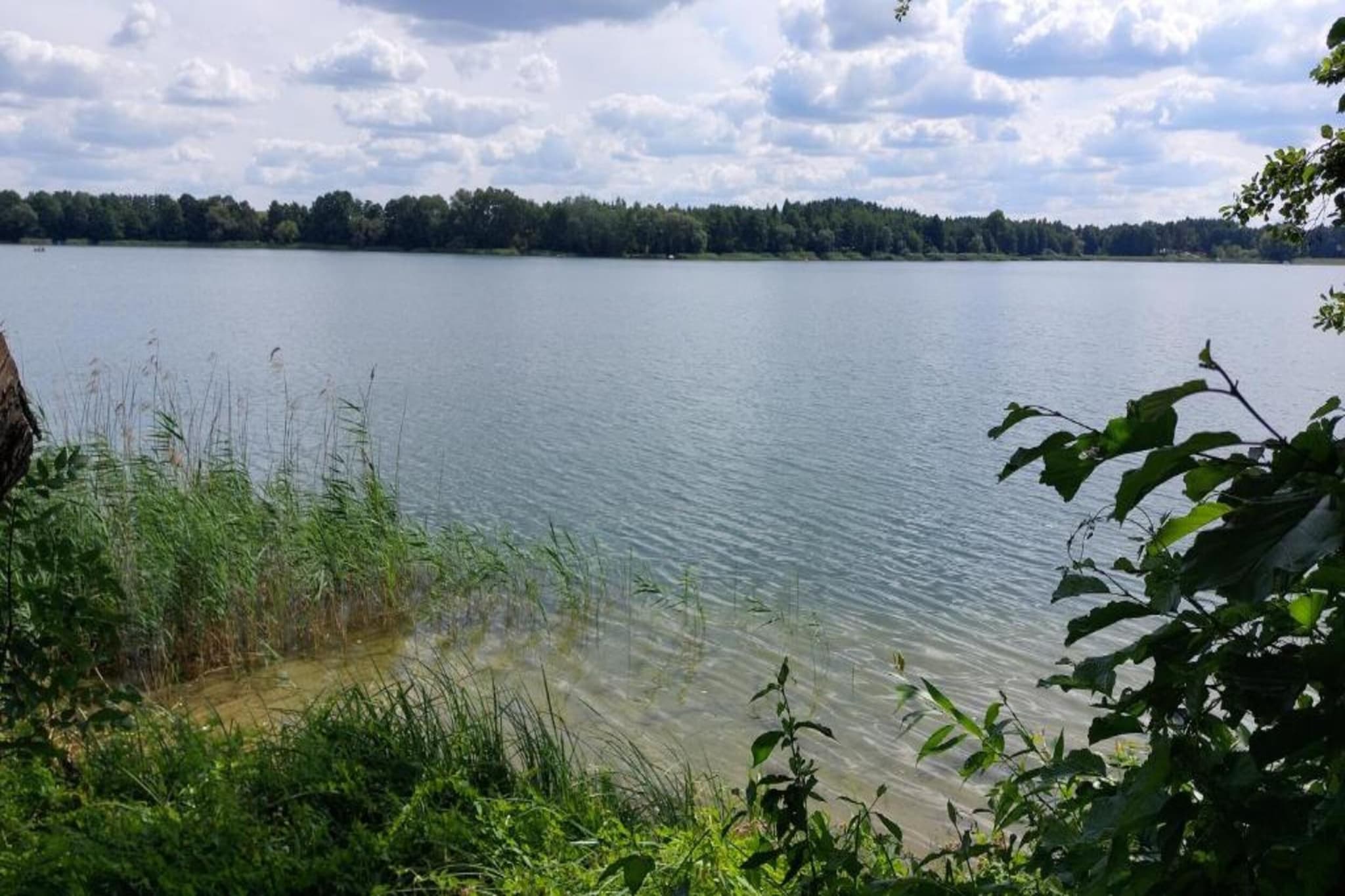 Dom nad Jeziorem Głuszyńskim-Areas summer 5km