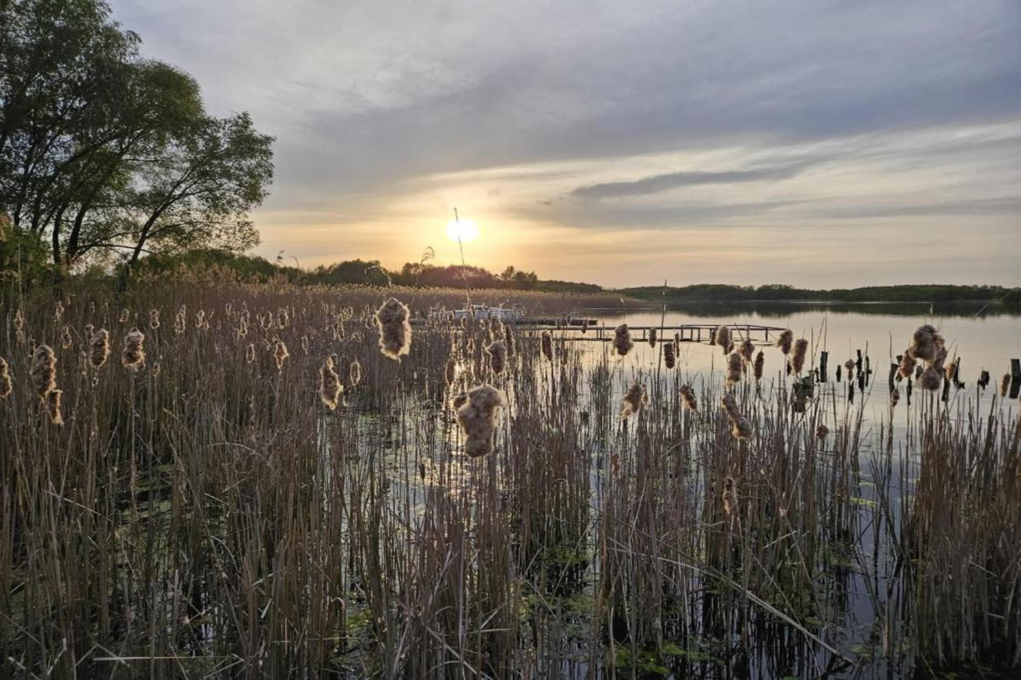 Dom nad Jeziorem Głuszyńskim-Areas summer 5km