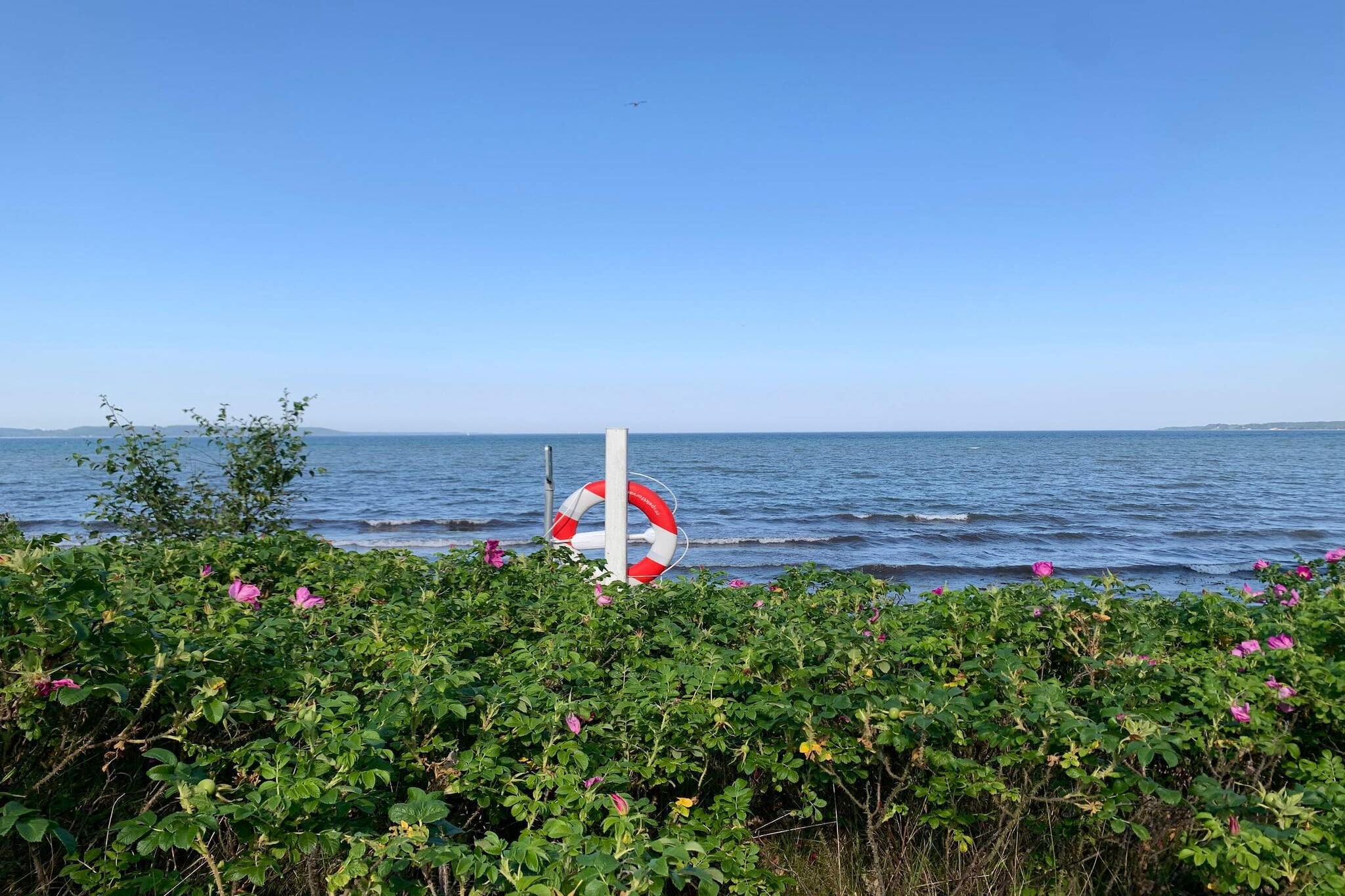 Rustig toevluchtsoord bij strand -- By Traum Ferienwohnungen-Waterzicht