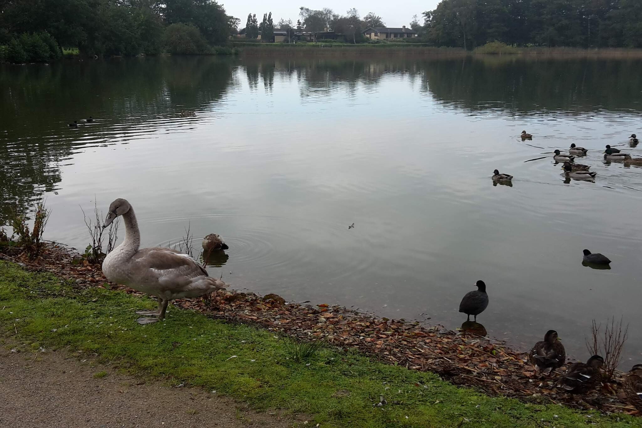 7 person holiday home in Løgstør-By Traum-Water view