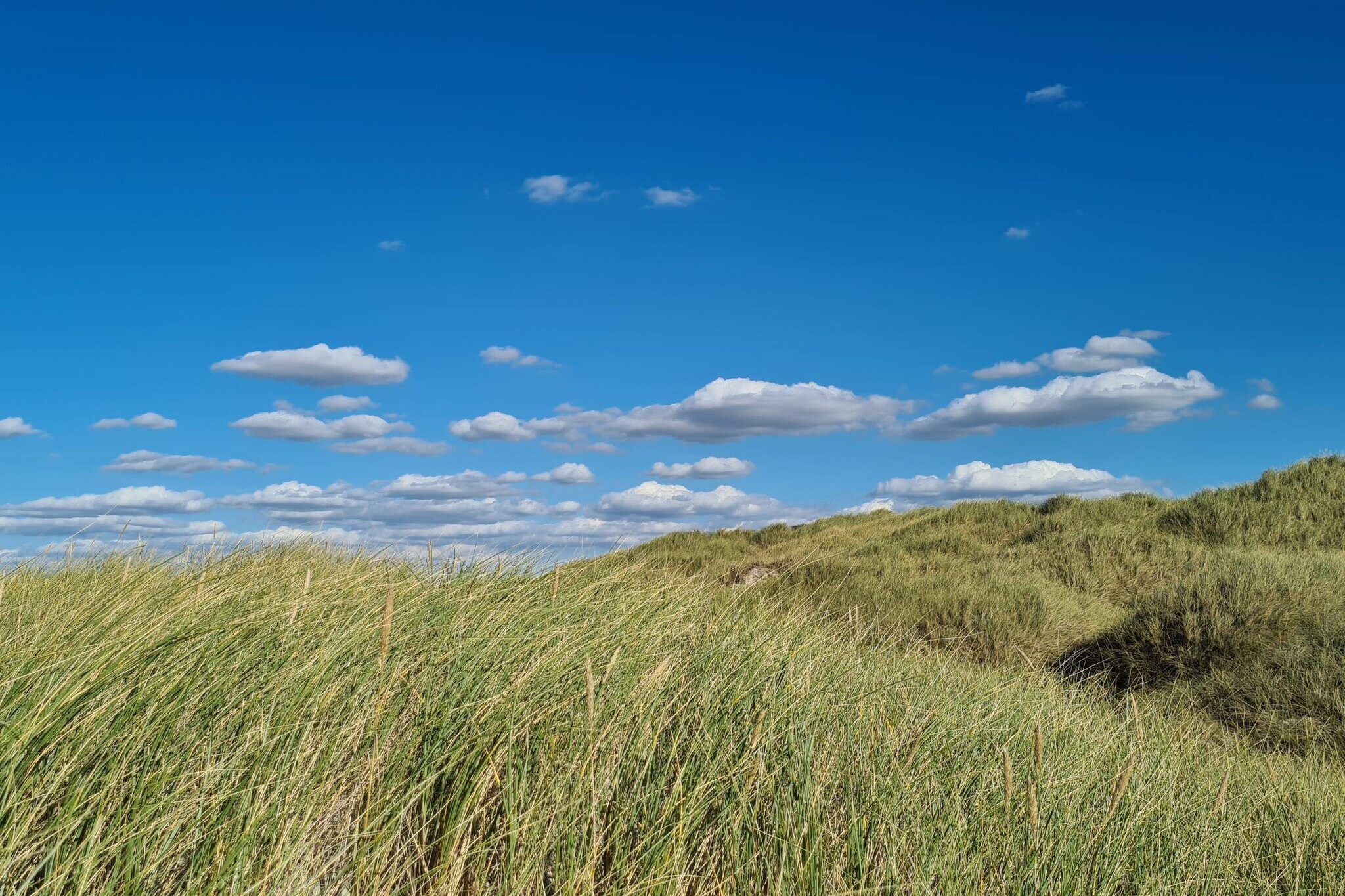 6 persoons vakantie huis in Pandrup-By Traum-Niet-getagd