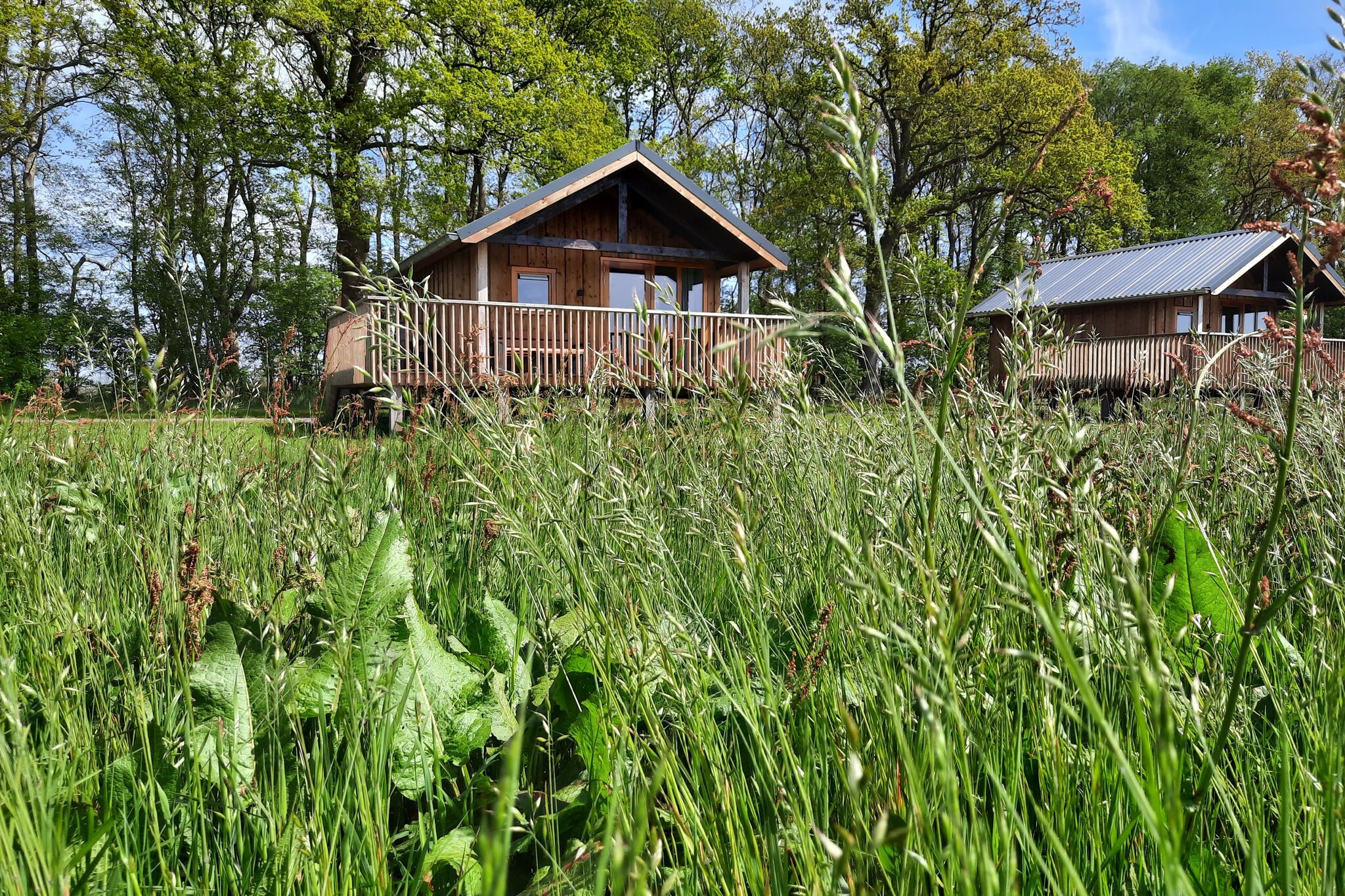 Nice lodge with unobstructed view in Drenthe