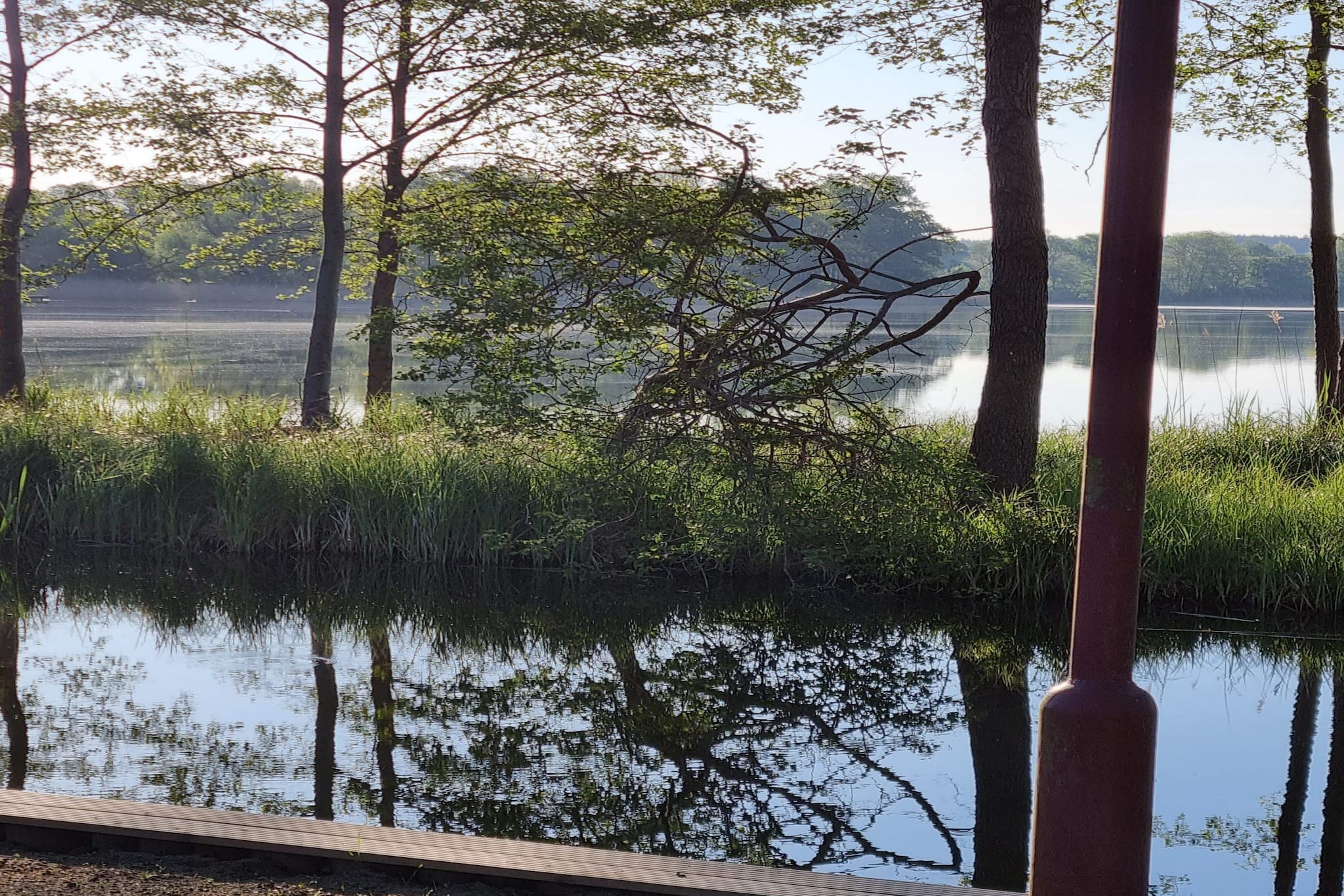 Reihenbungalow Nr 1-Gebieden zomer 1km