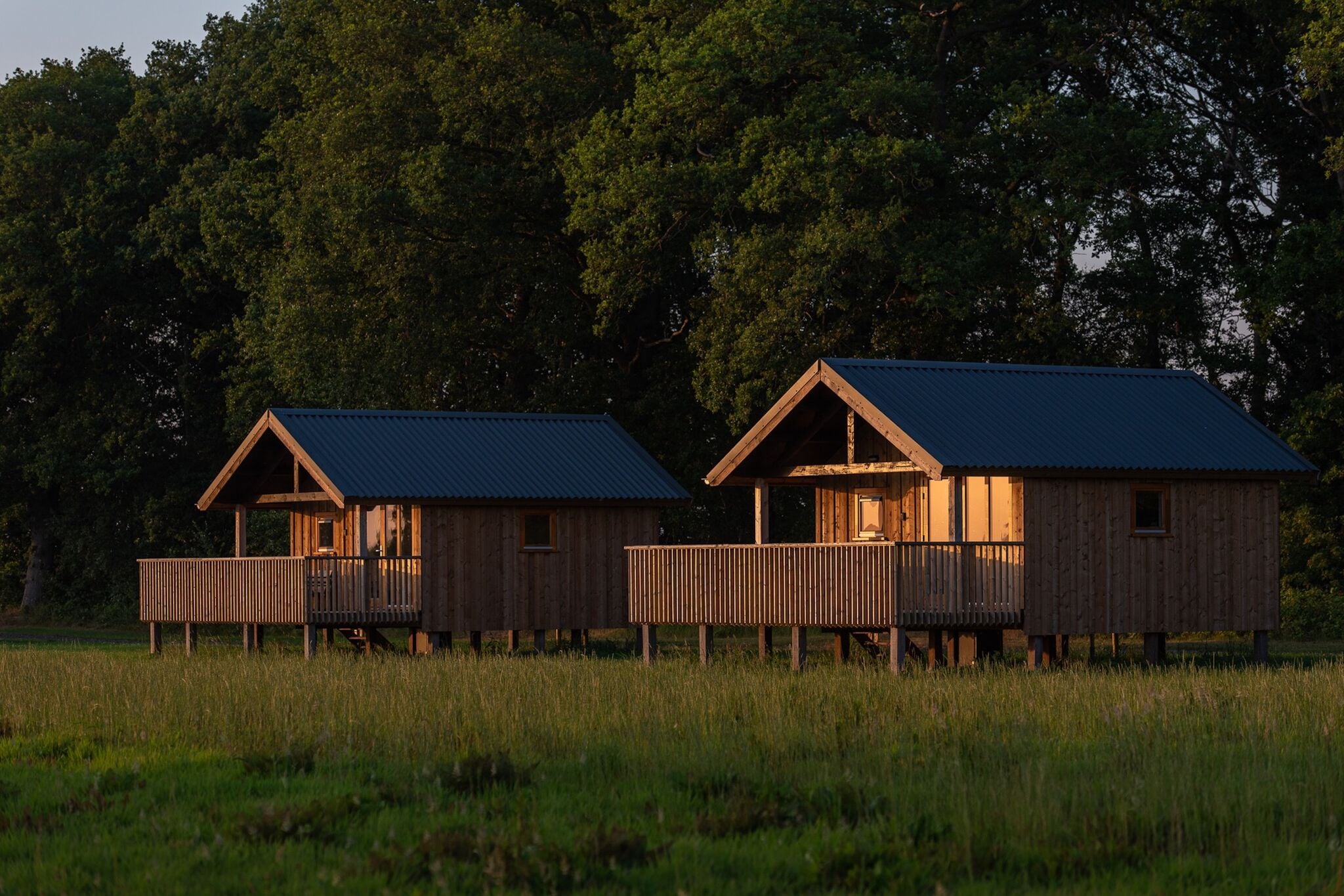 Composite lodges with shared space in Drenthe