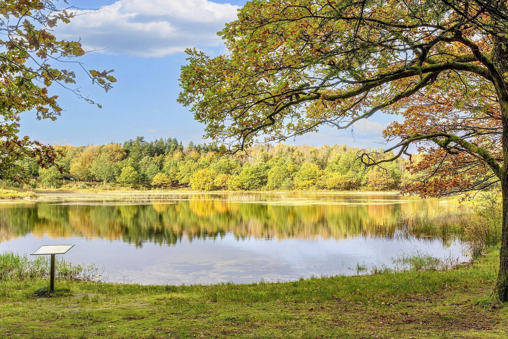 4 persoons vakantie huis in Aars-By Traum