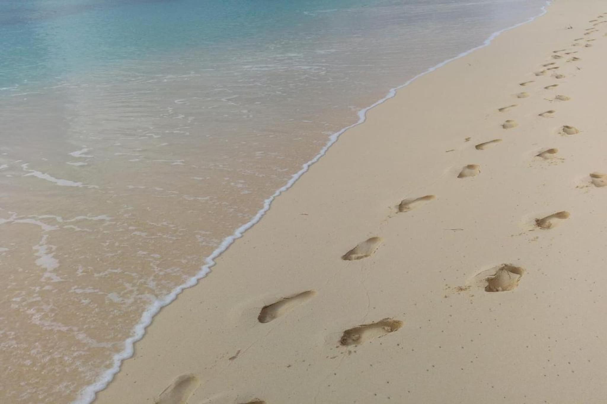 Vakantiehuis - Zoutelande 'Bon Bini'-Gebieden zomer 1km