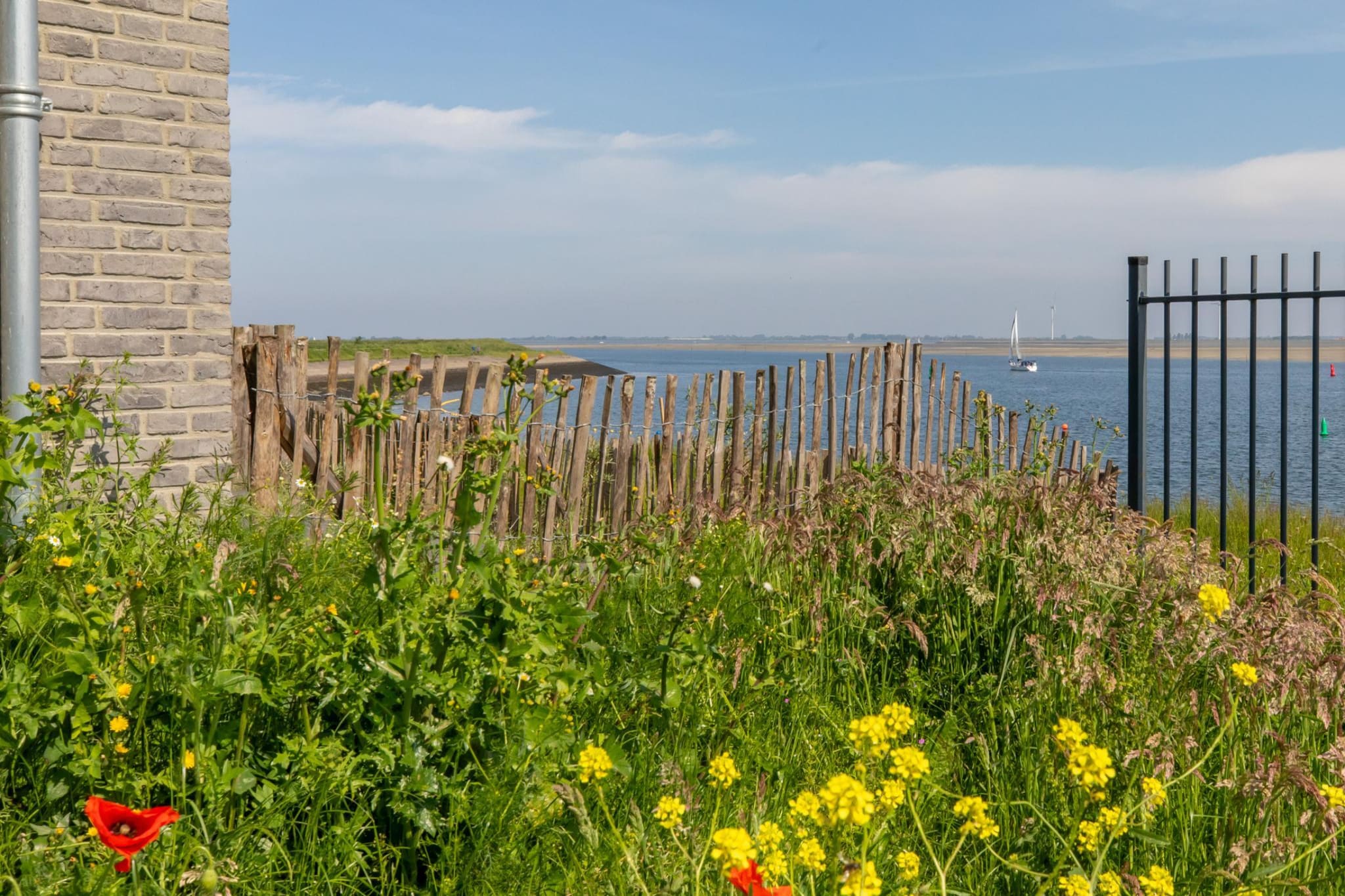 Havenweg 8-14-Tuinen zomer