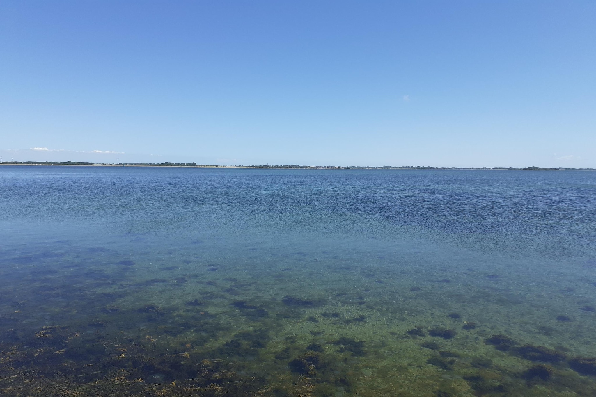 FeWo EG E-37-Gebieden zomer 1km