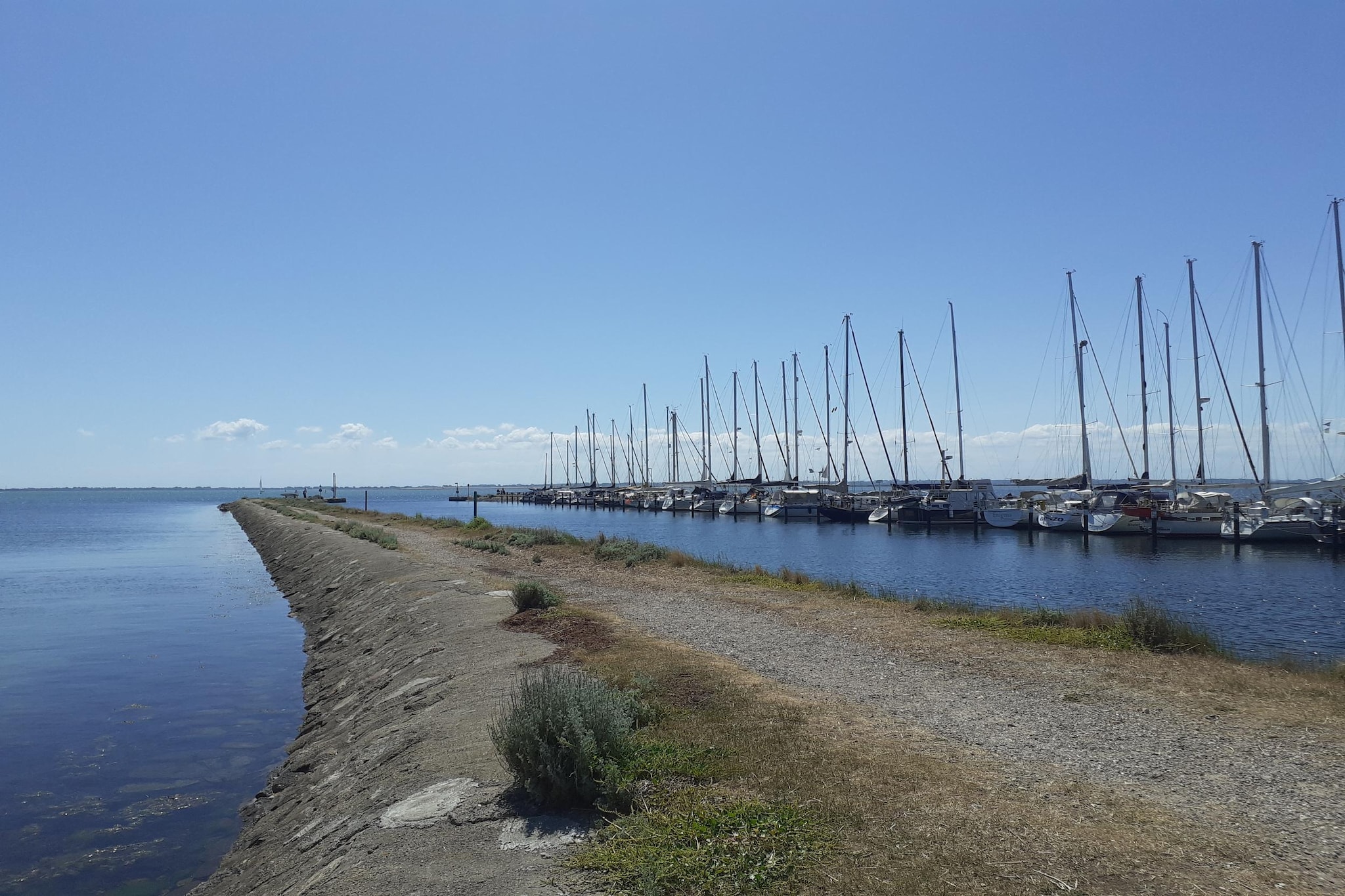 FeWo EG E-37-Gebieden zomer 1km