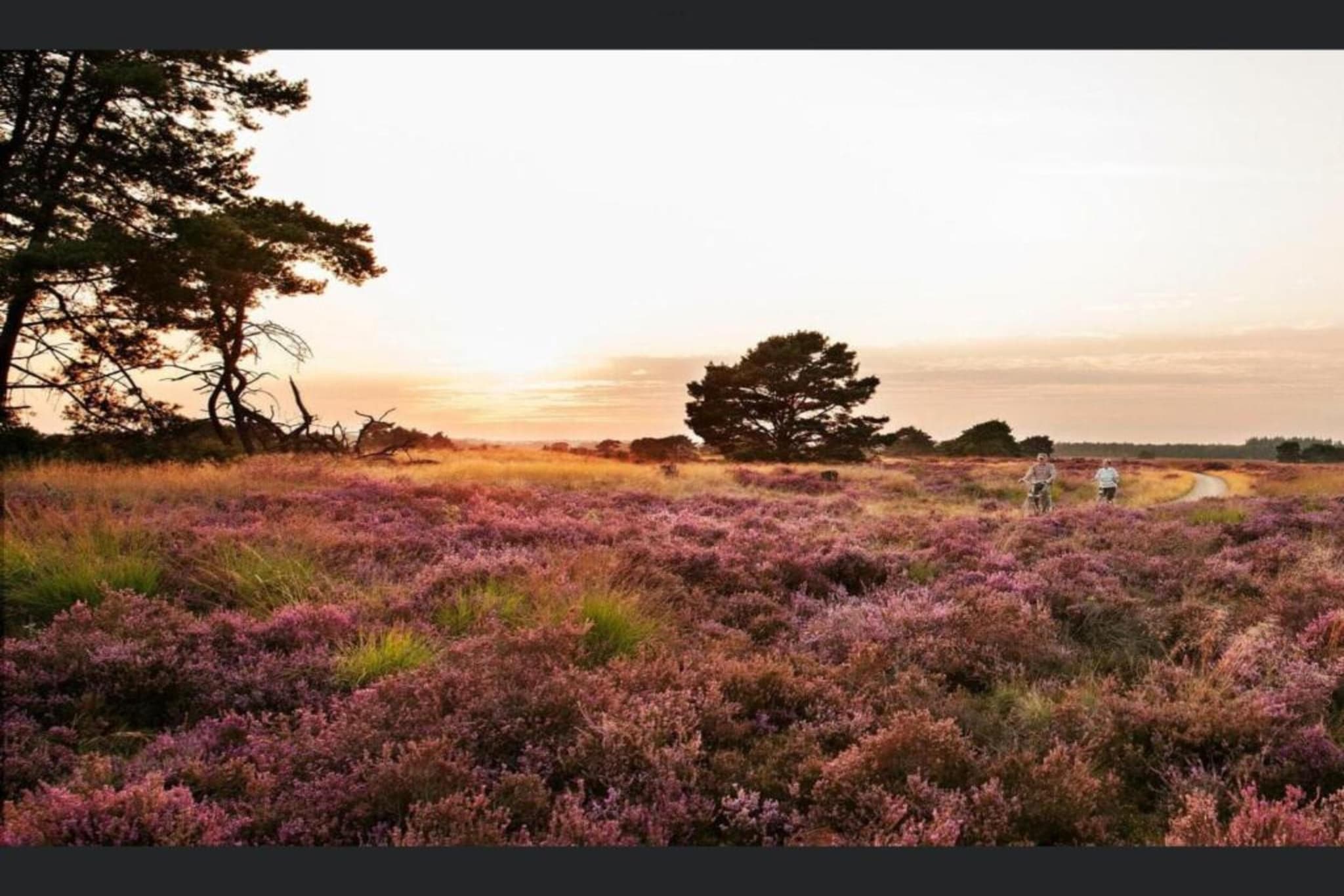 MM Nature-Gebiete Sommer 20 km