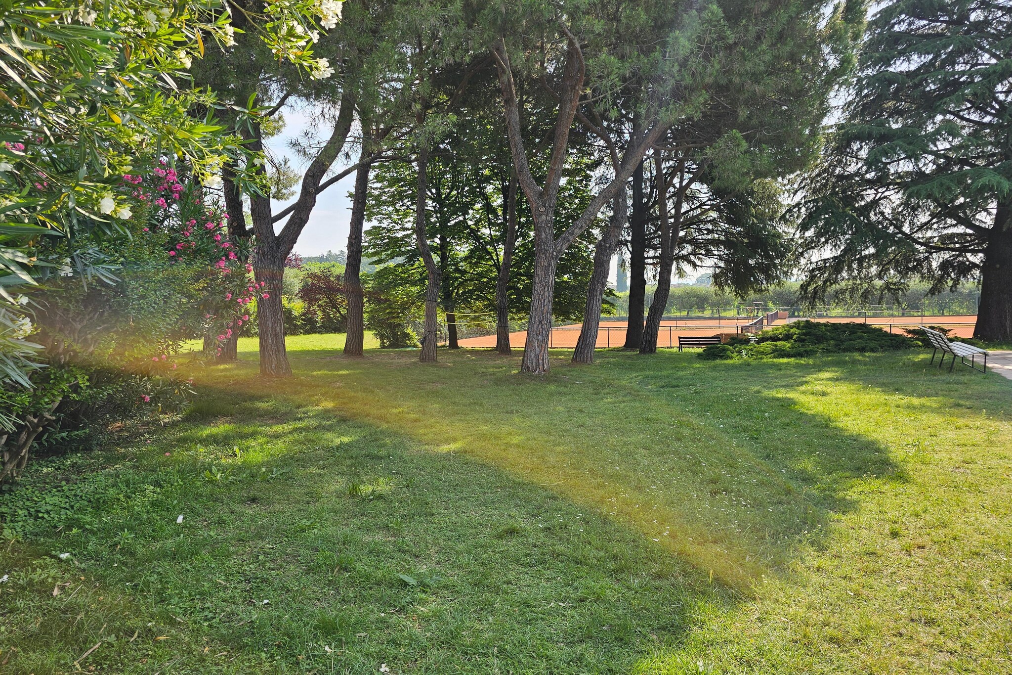 Apartment in Colà near Thermal Park & Lake
