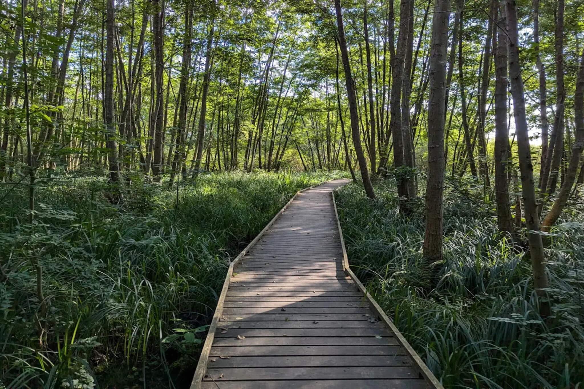 Maison de vacances pour 4 a Frederiksværk-By Traum-Non tagué