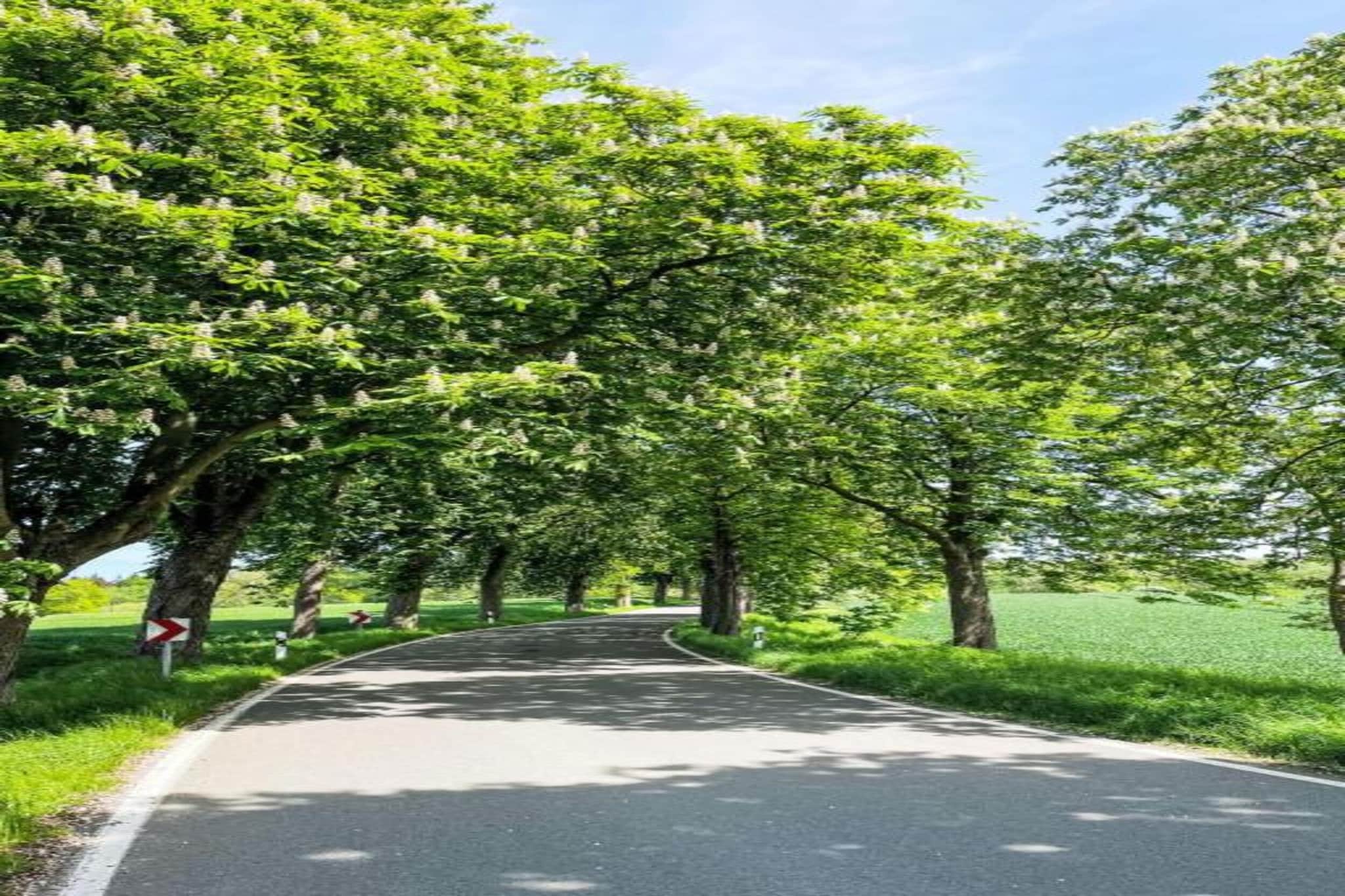 Ferienwohnung Carinerland-Gebieden zomer 20km