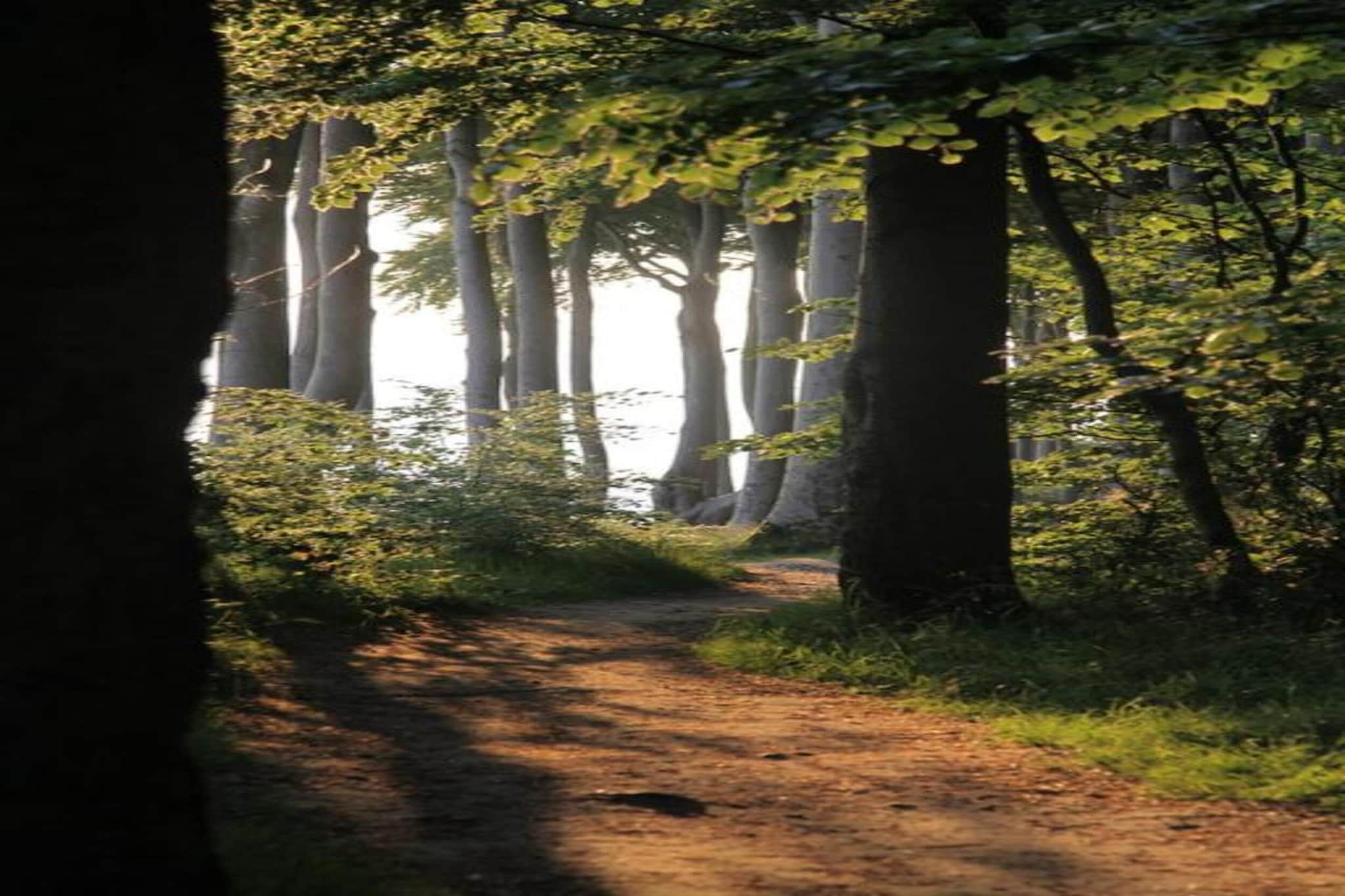 Ferienwohnung Carinerland-Gebieden zomer 20km