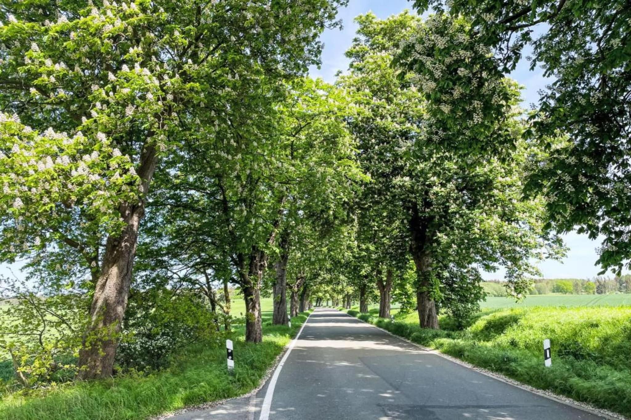 Ferienwohnung Carinerland-Gebieden zomer 20km