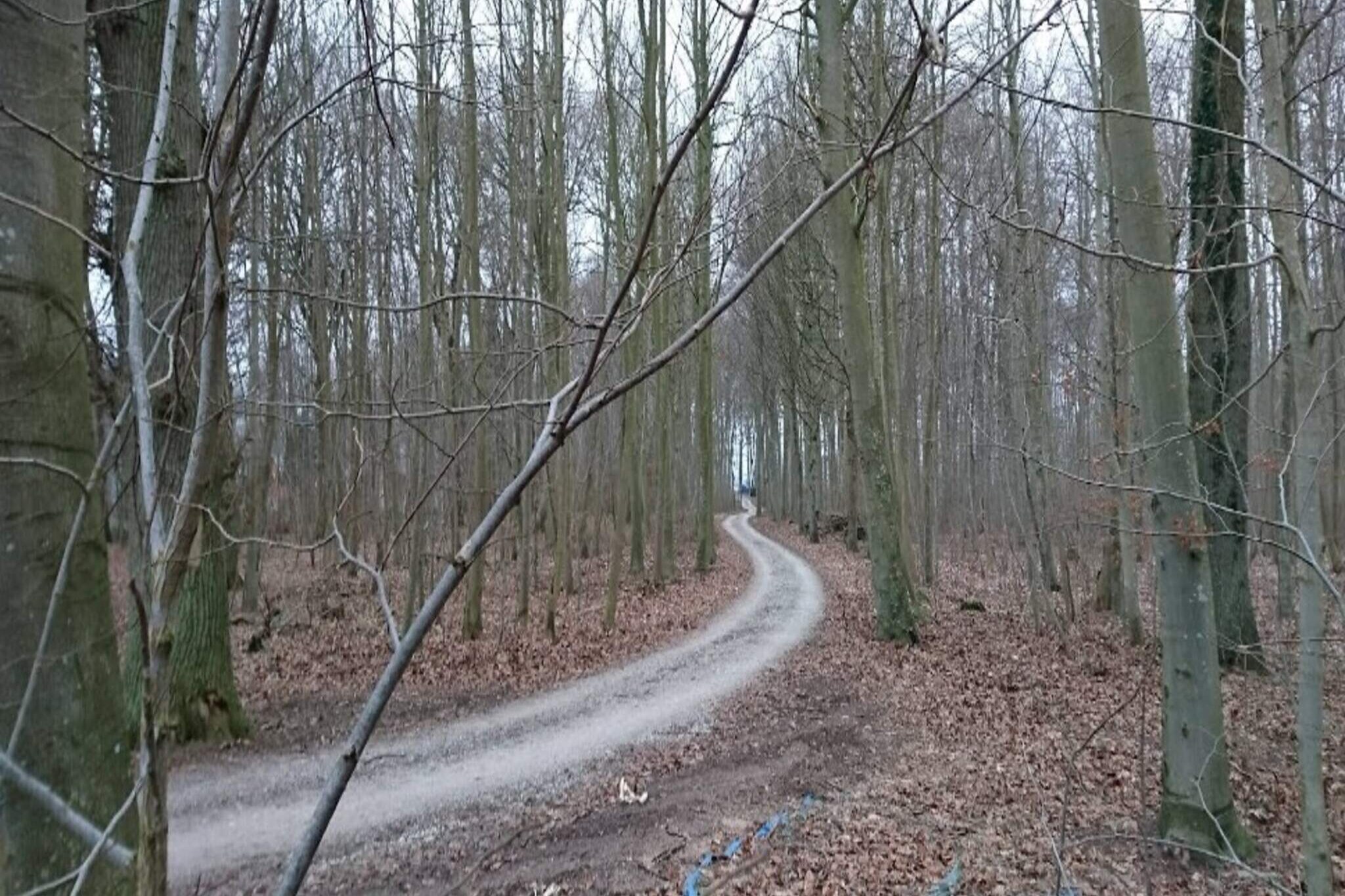 4 persoons vakantie huis in Væggerløse-By Traum-Buitenlucht
