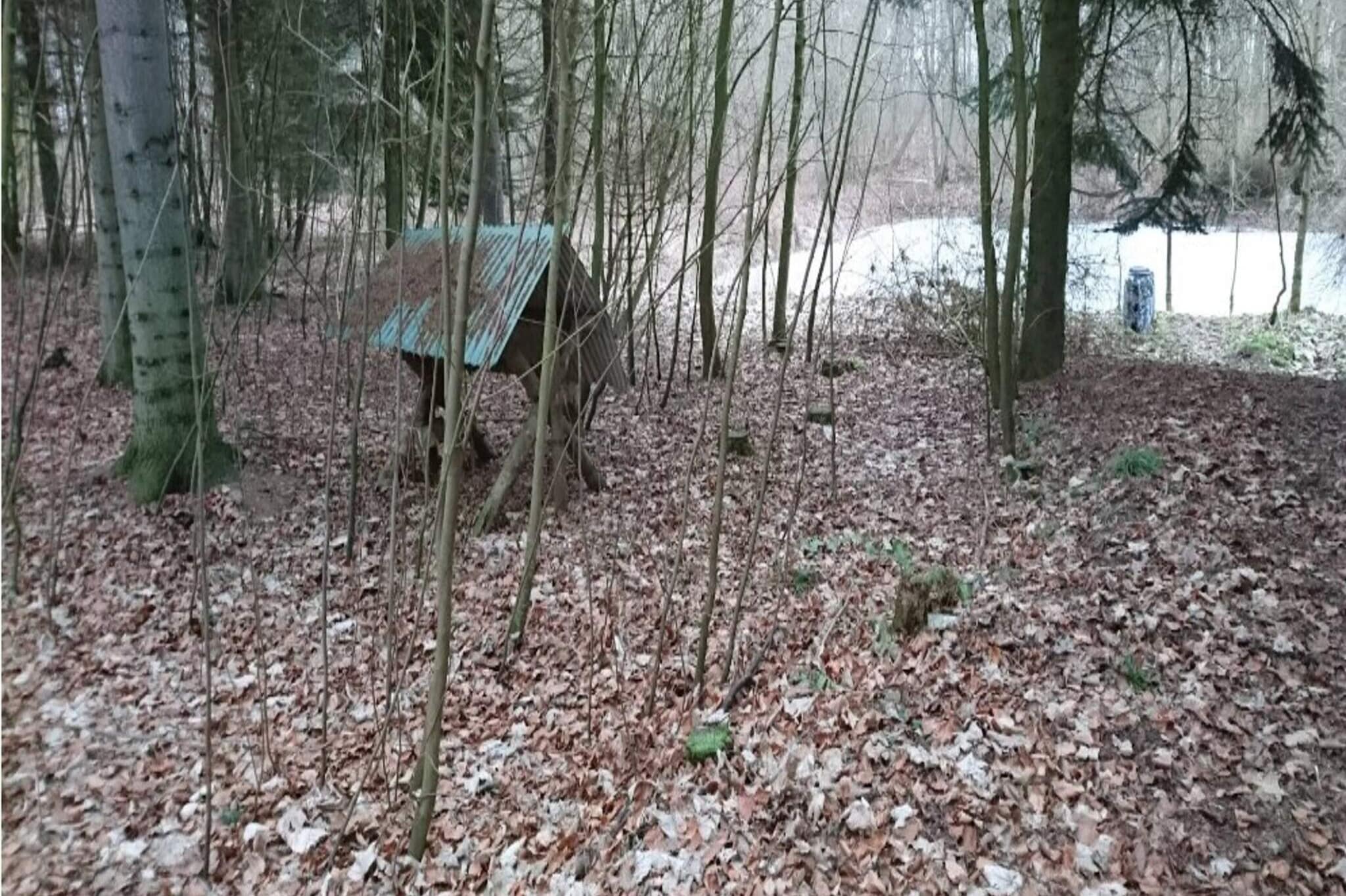 4 persoons vakantie huis in Væggerløse-By Traum - Buitenlucht
