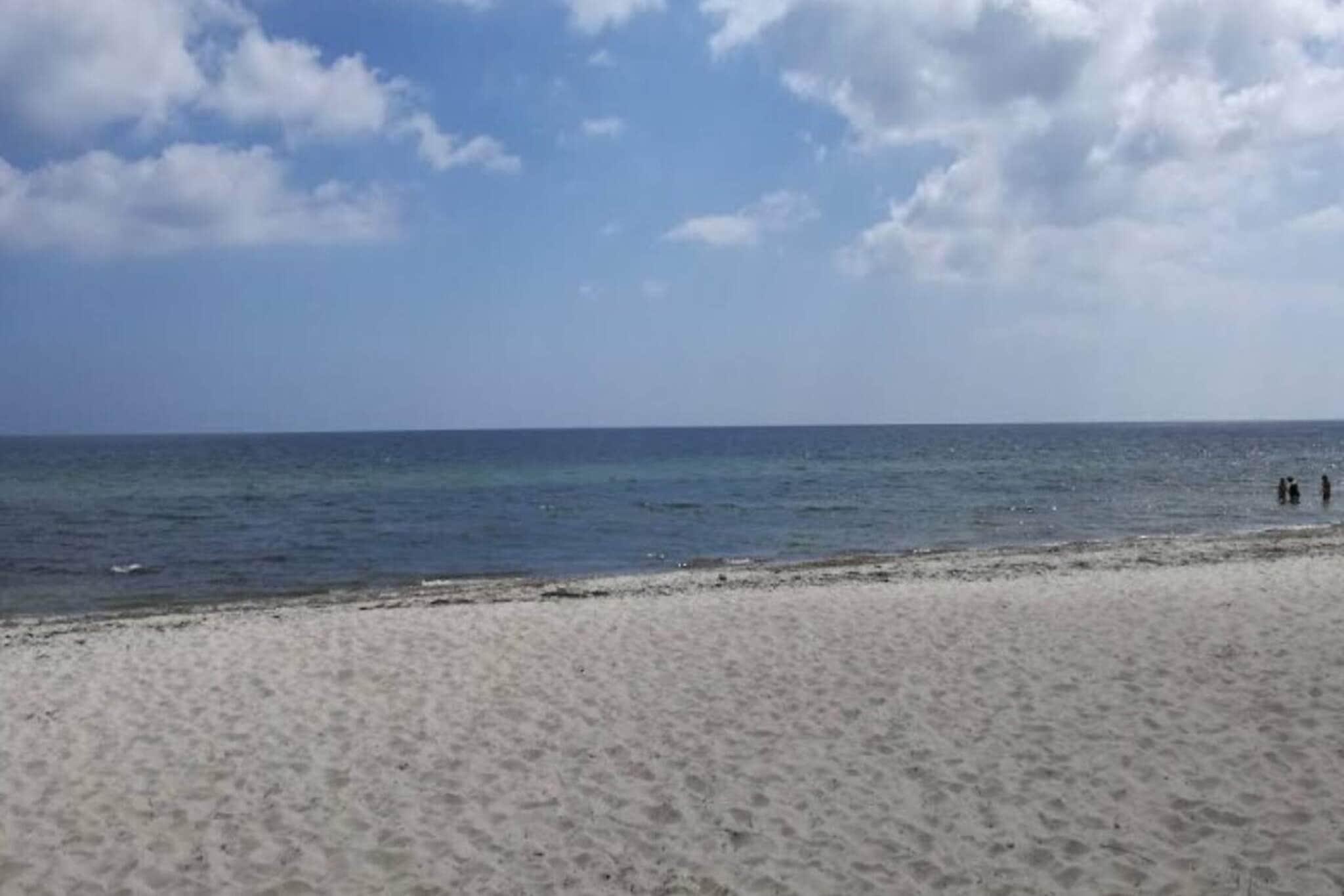 4 persoons vakantie huis in Væggerløse-By Traum - Buitenlucht