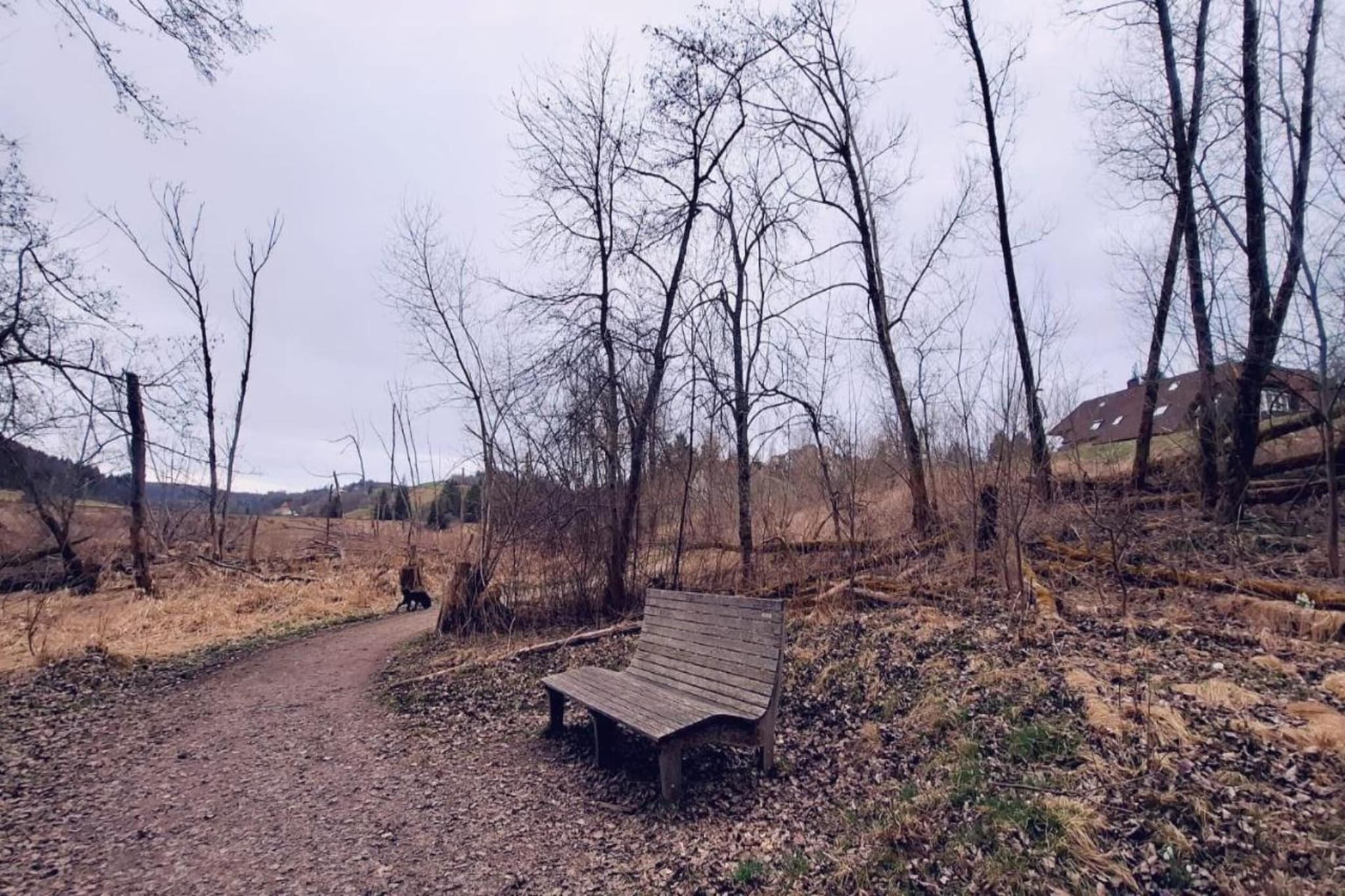 Haus Wasser-Areas summer 20km