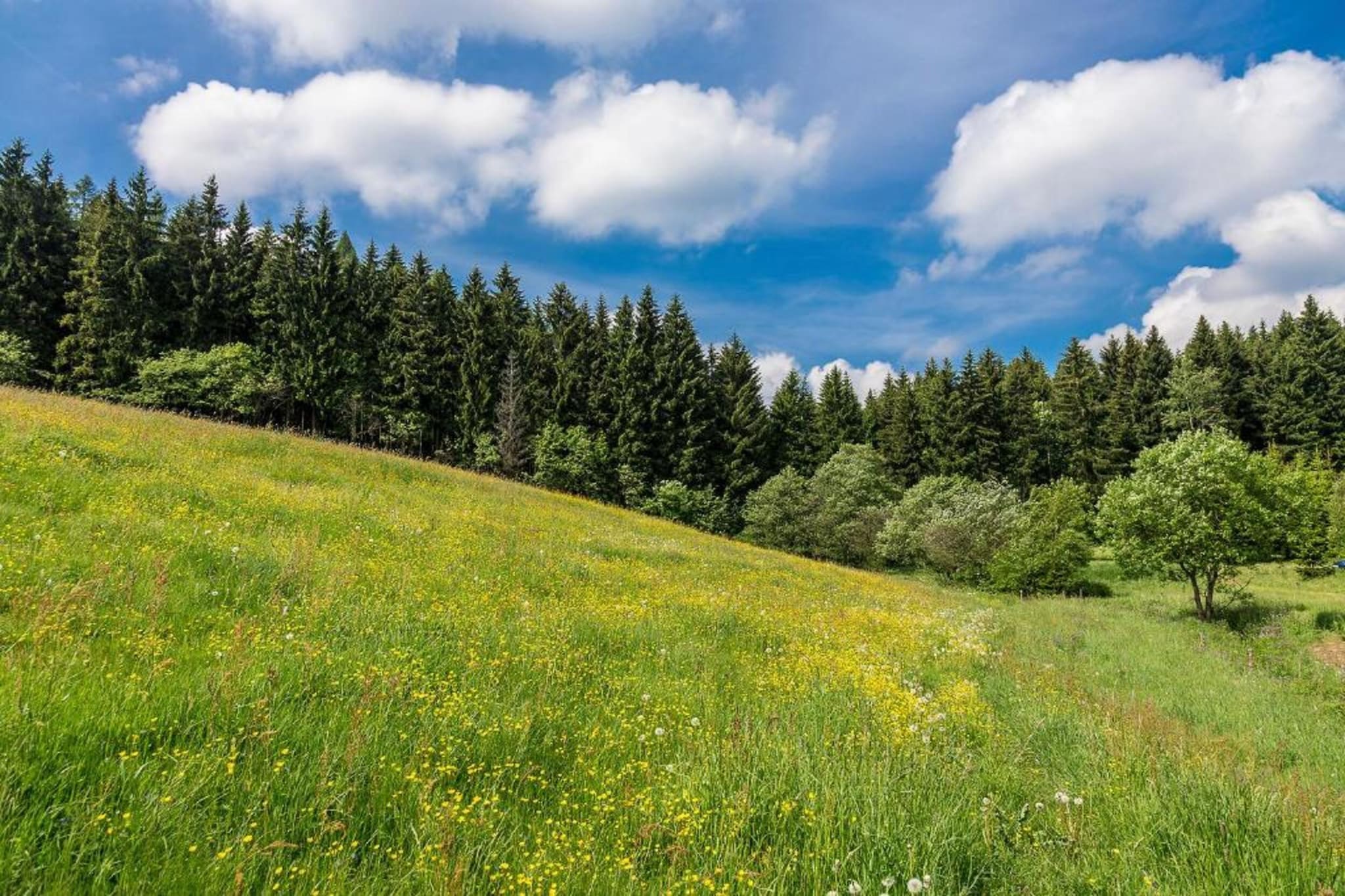 Gruppenferienhaus nähe Kurort Oberwiesenthal-Gebiete Sommer 20 km