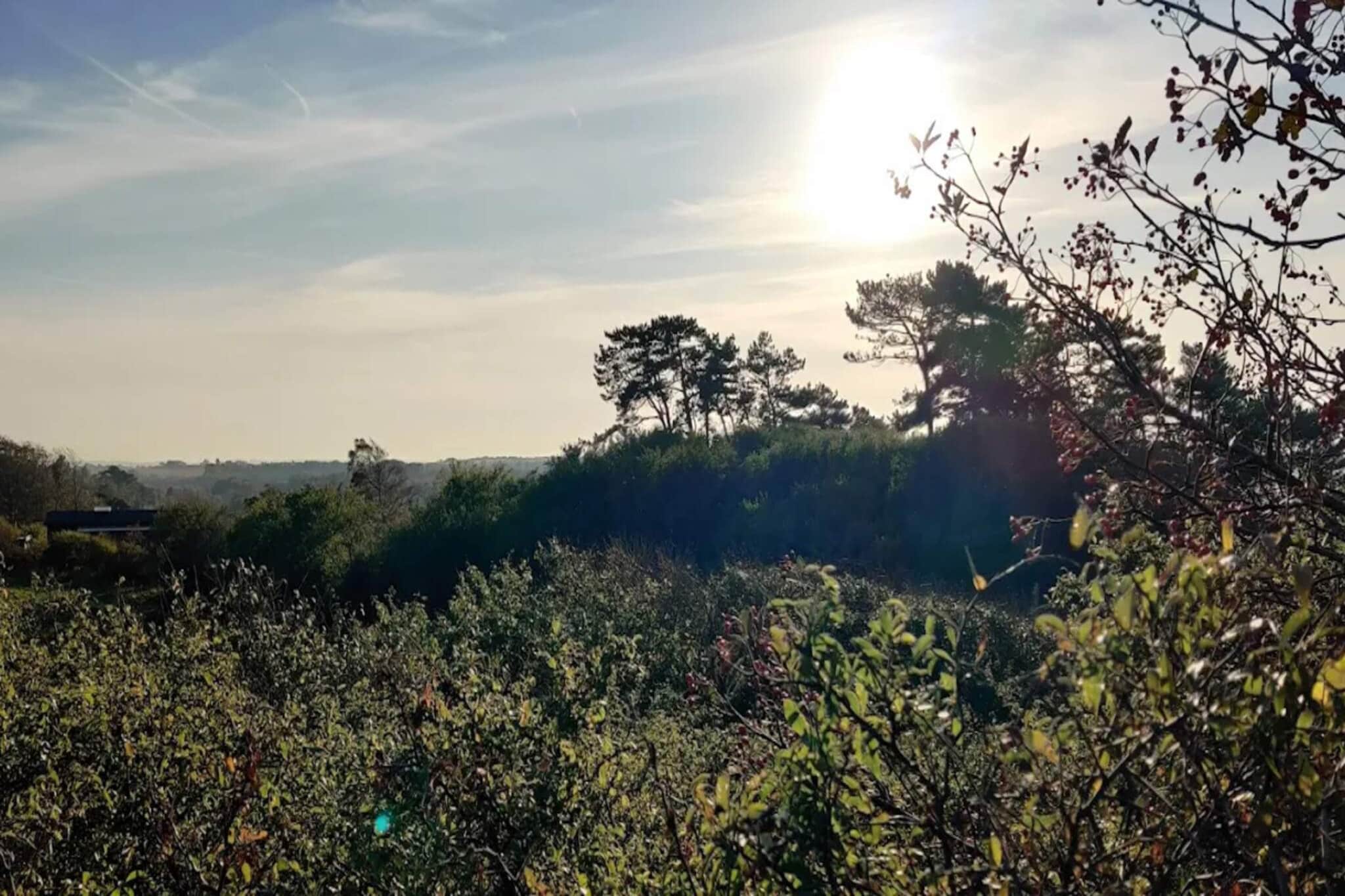 Kitchen(cooker(electric), coffee machine, fridge-freezer), Living/bed room(TV), bedroom(double bed), bedroom(2x single bed), bathroom(washbasin, shower, toilet), heating(electric), terrace, garden furniture, deckchairs