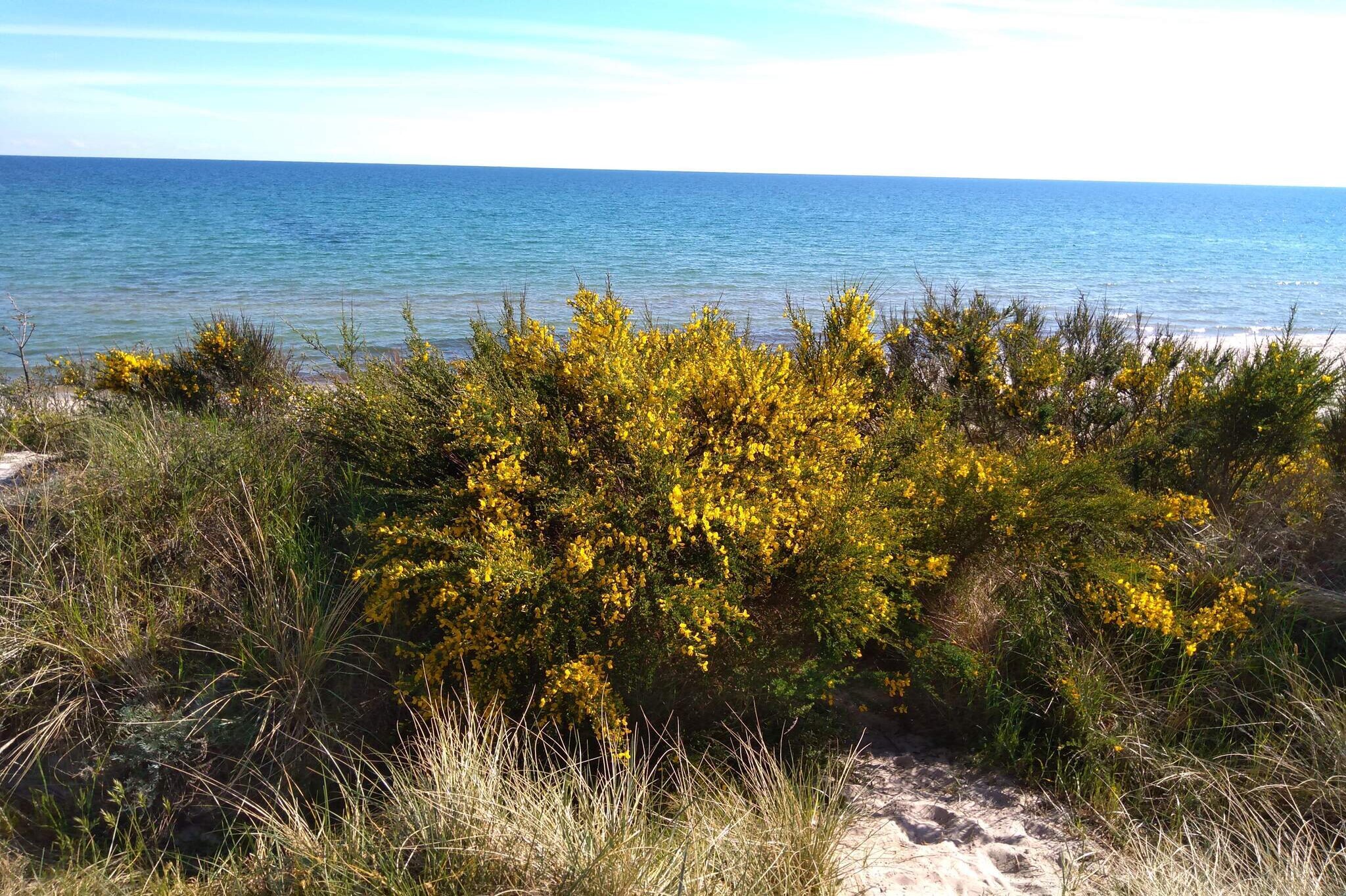 4 person holiday home in Aakirkeby-By Traum