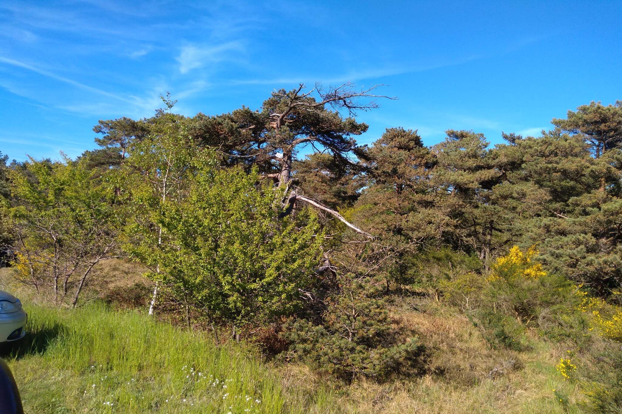 4 person holiday home in Aakirkeby-By Traum