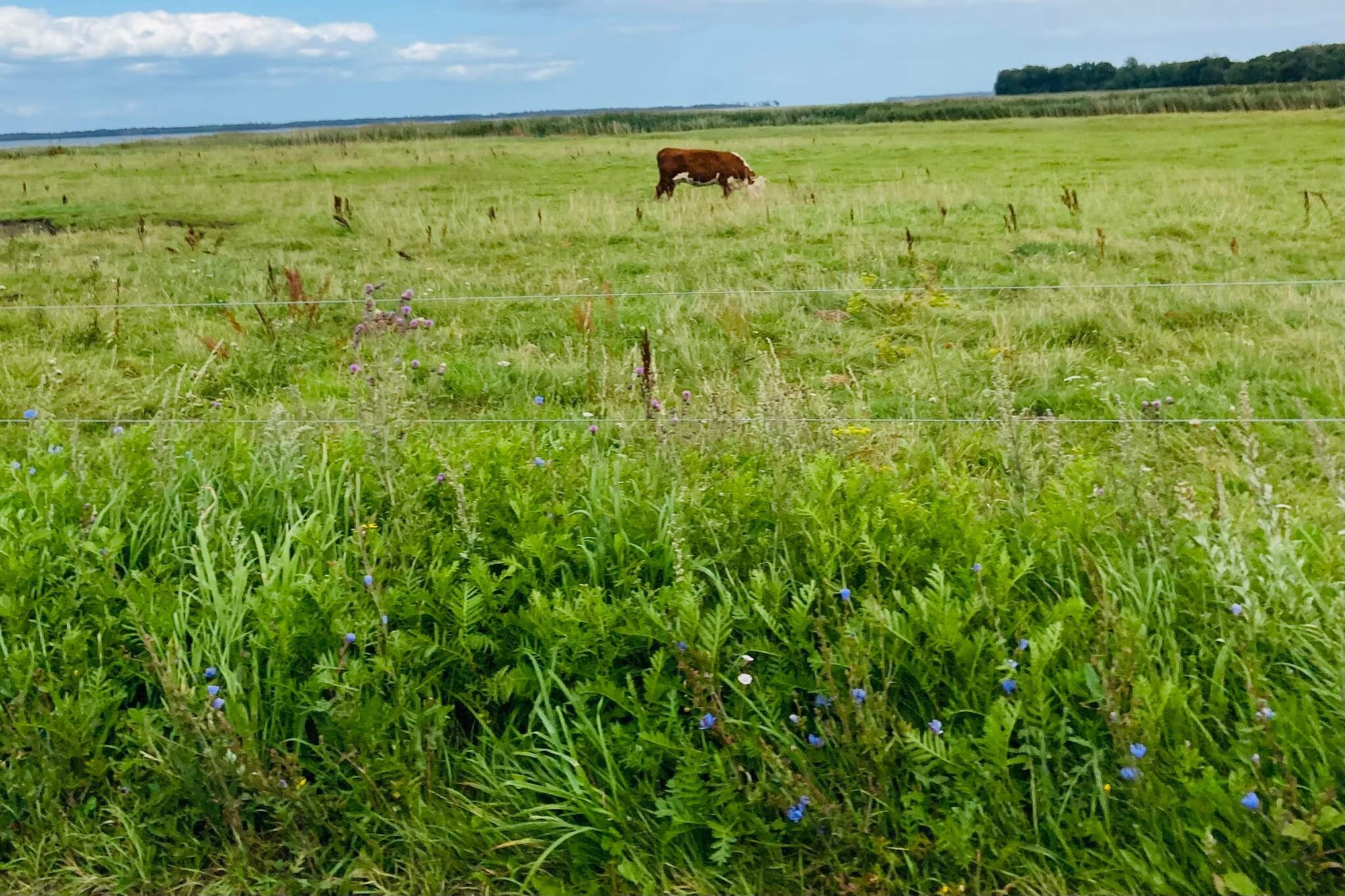 5 person holiday home in PrÃ¦stÃ¸-By Traum