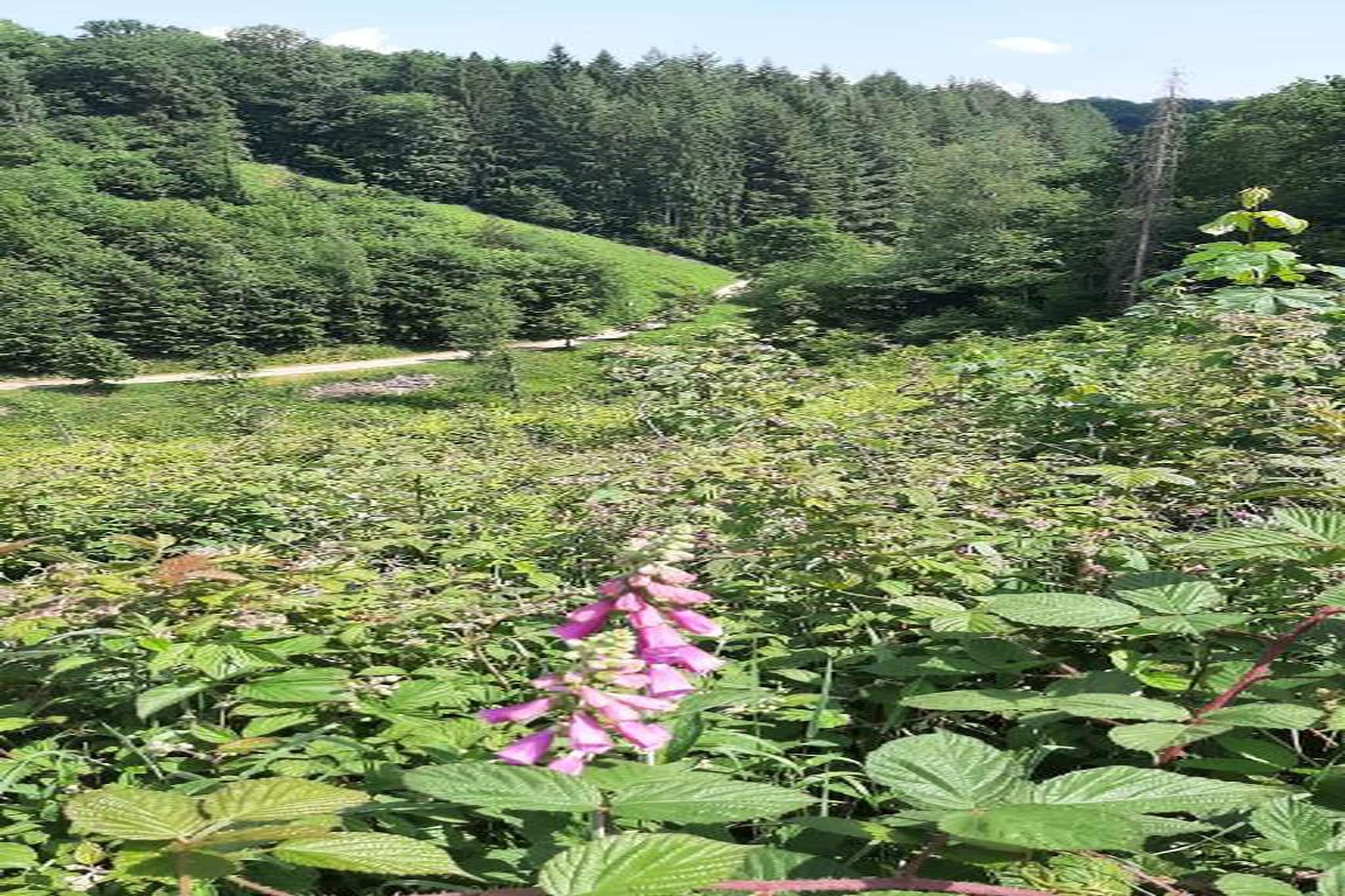 Refuge du Loup-Gebieden zomer 20km