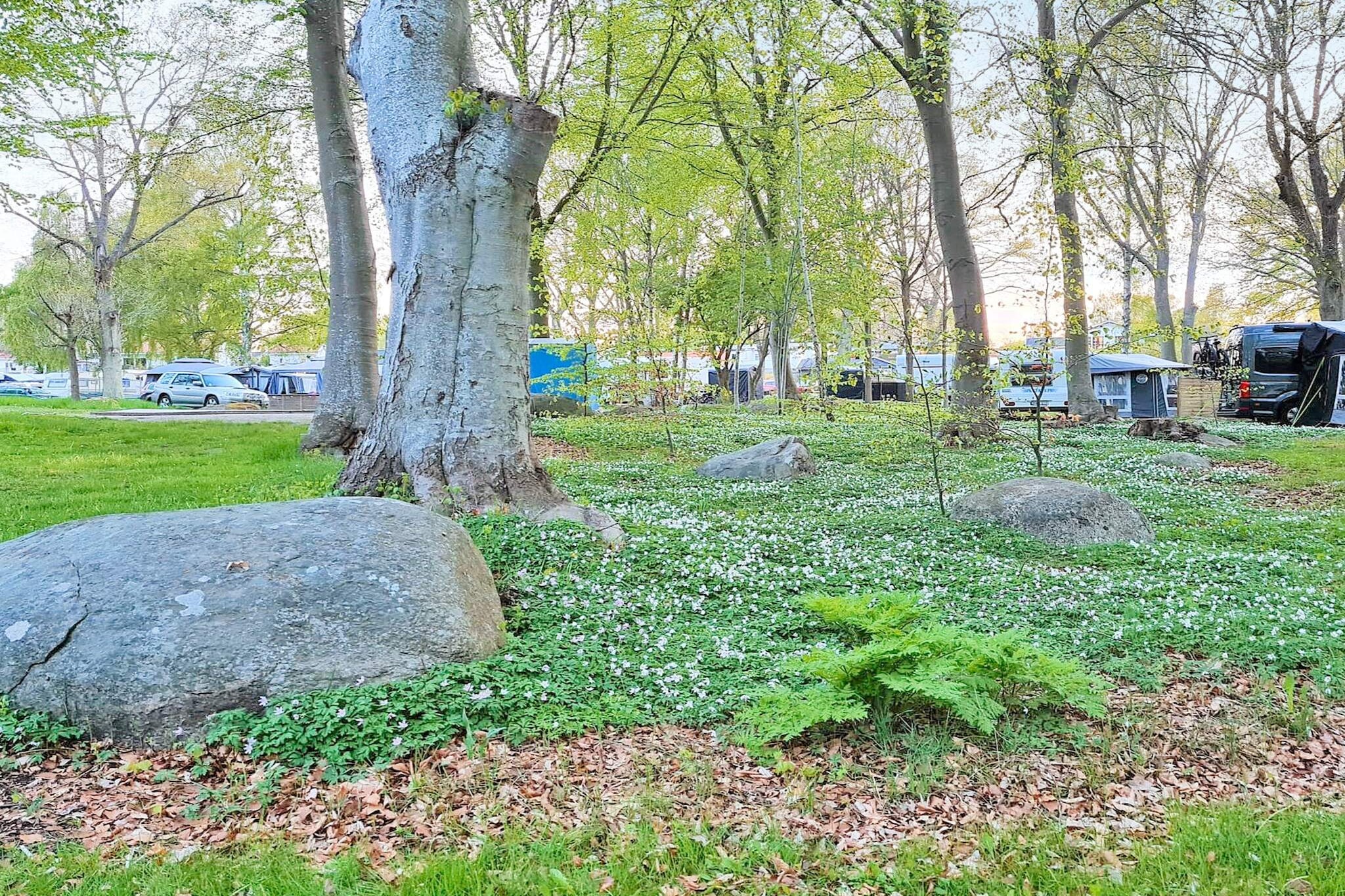9 persoons vakantie huis in SÖLVESBORG-By Traum - Niet-getagd