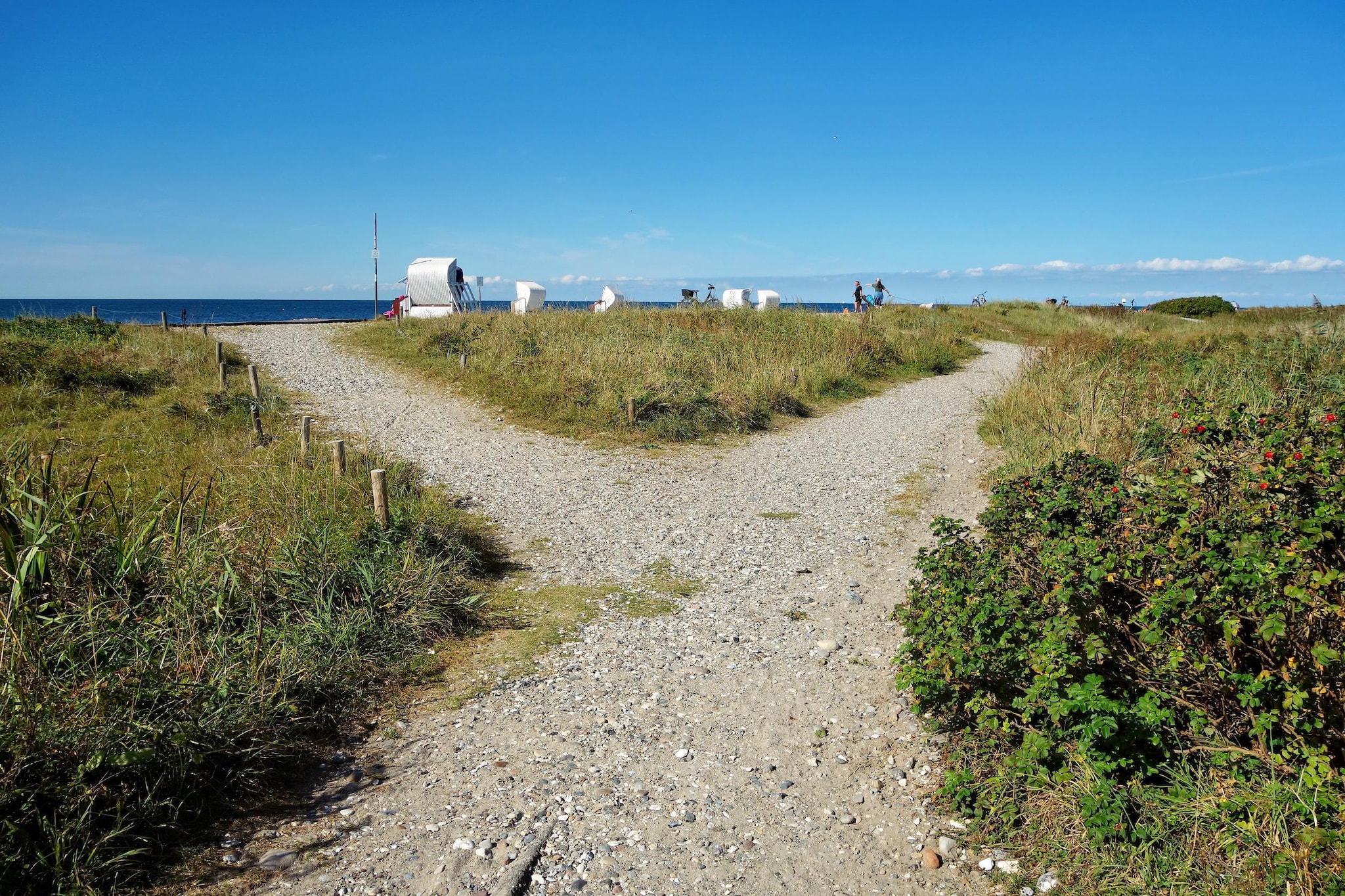 Bojendorf FehAmore 6 P-Gebieden zomer 1km