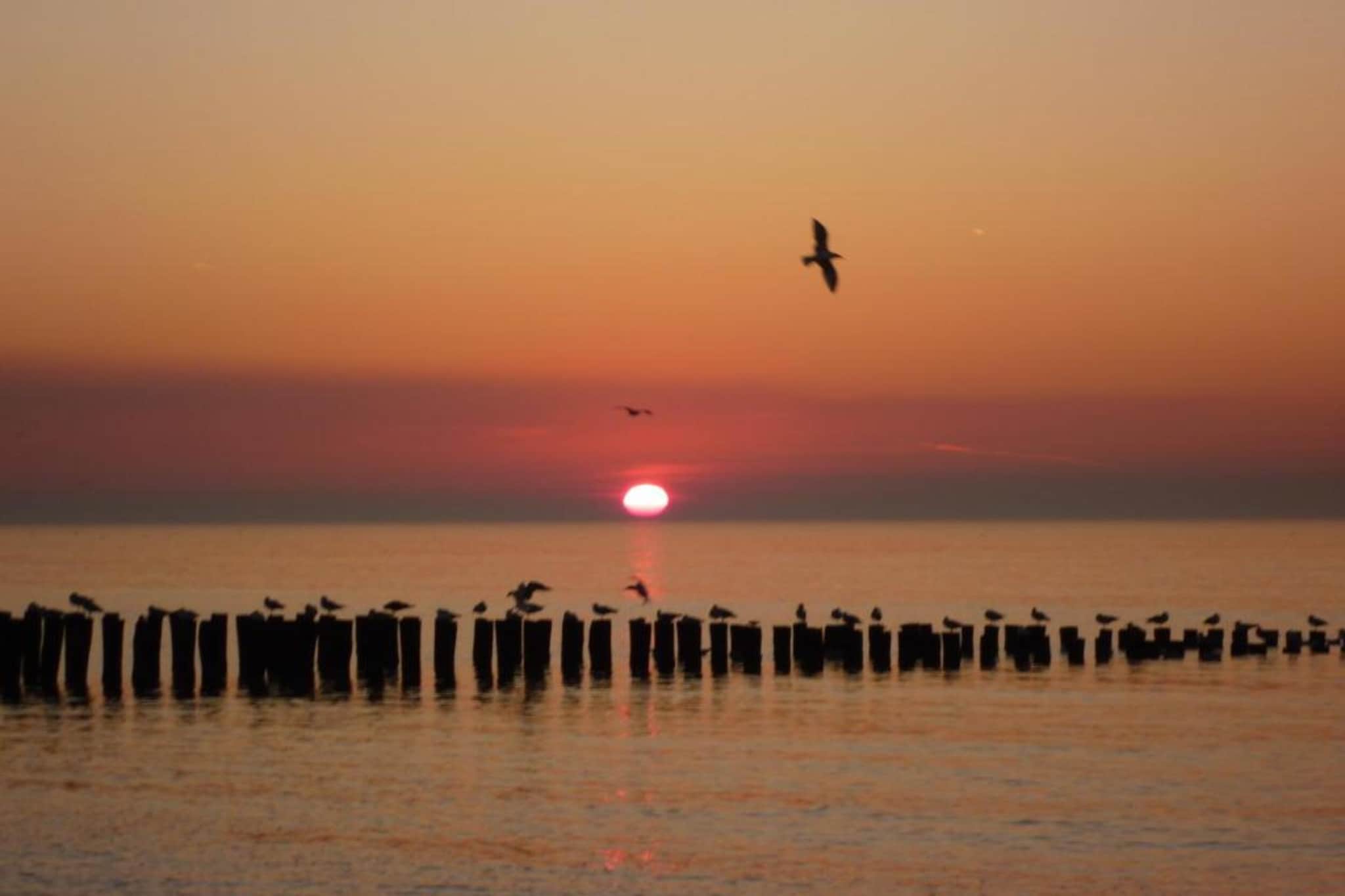 Buitenhof Domburg  16-Gebiete Sommer 20 km